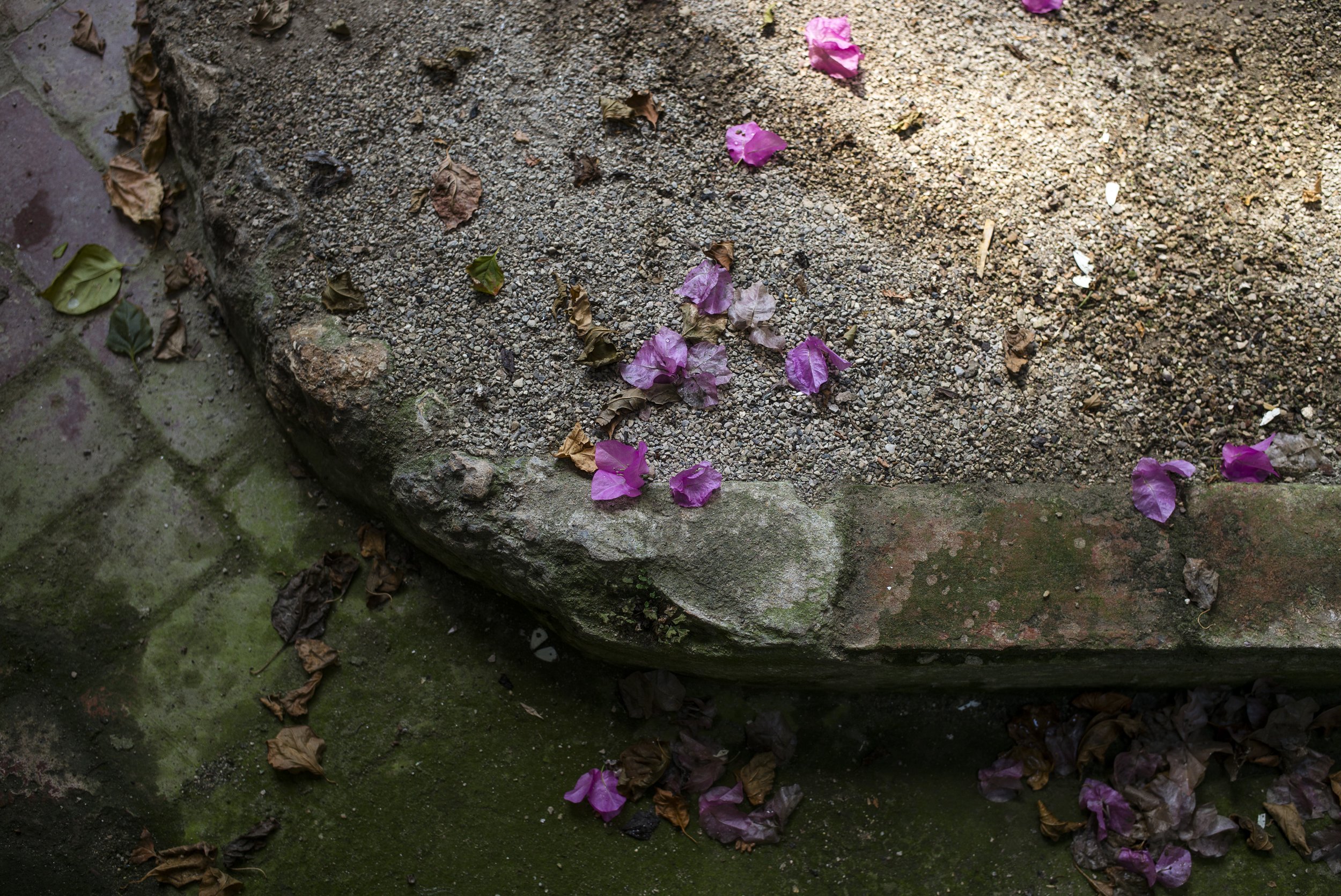 Orto botanico Padova. 2016.