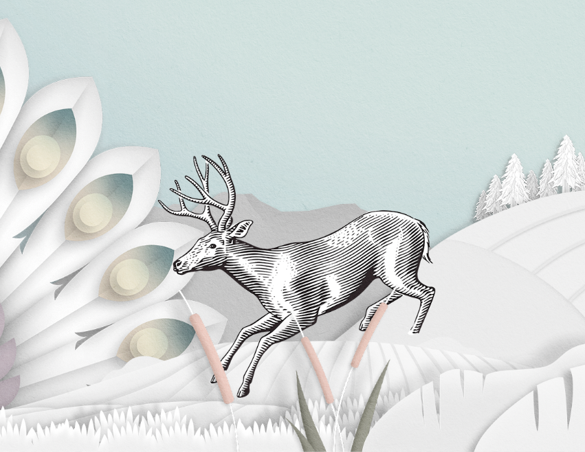 Stags’ Leap Winery