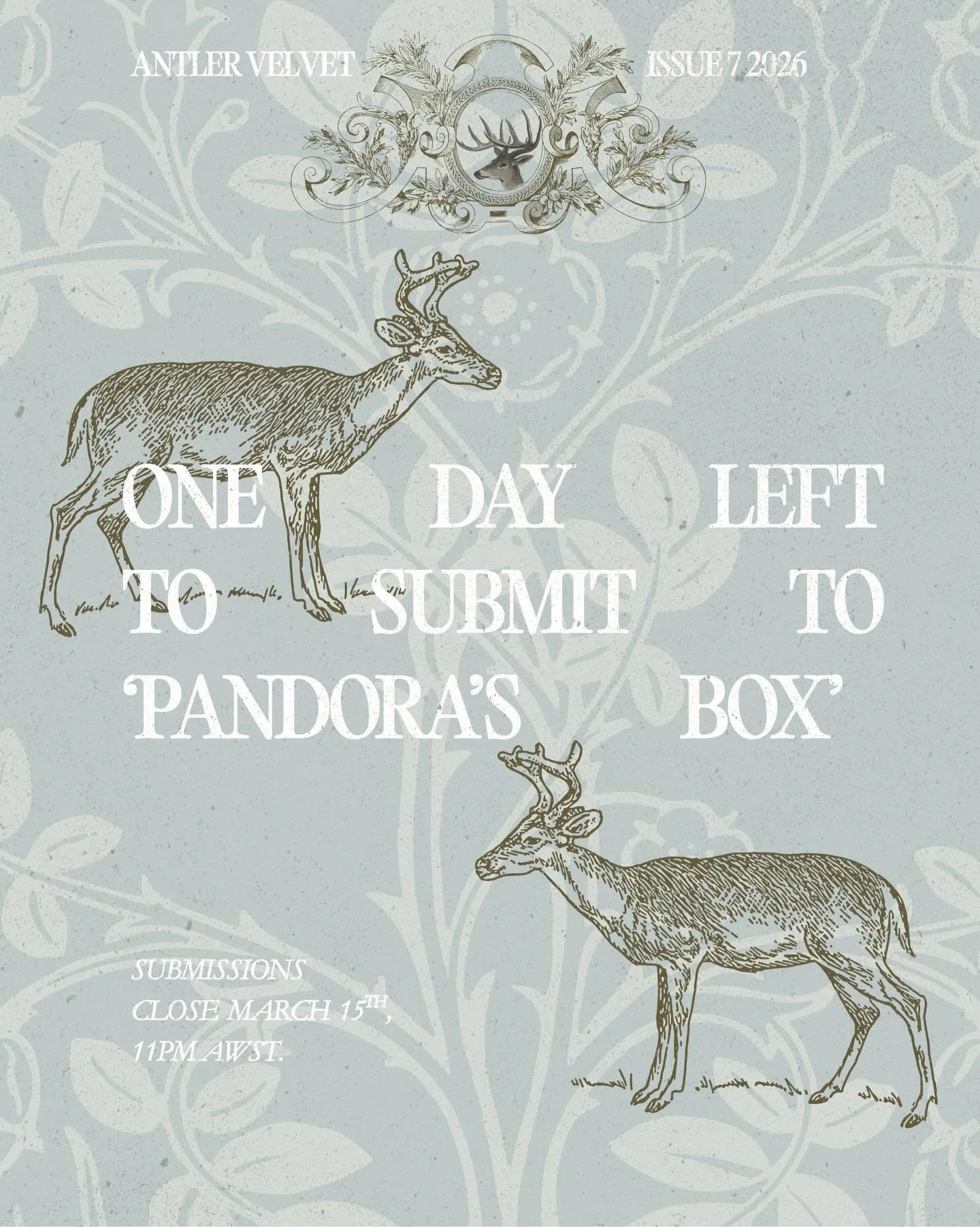 ONE DAY LEFT. GET OUT OF YOUR BOX QUICKLY 📦 
#antlervelvetmagazine #literarymagazine