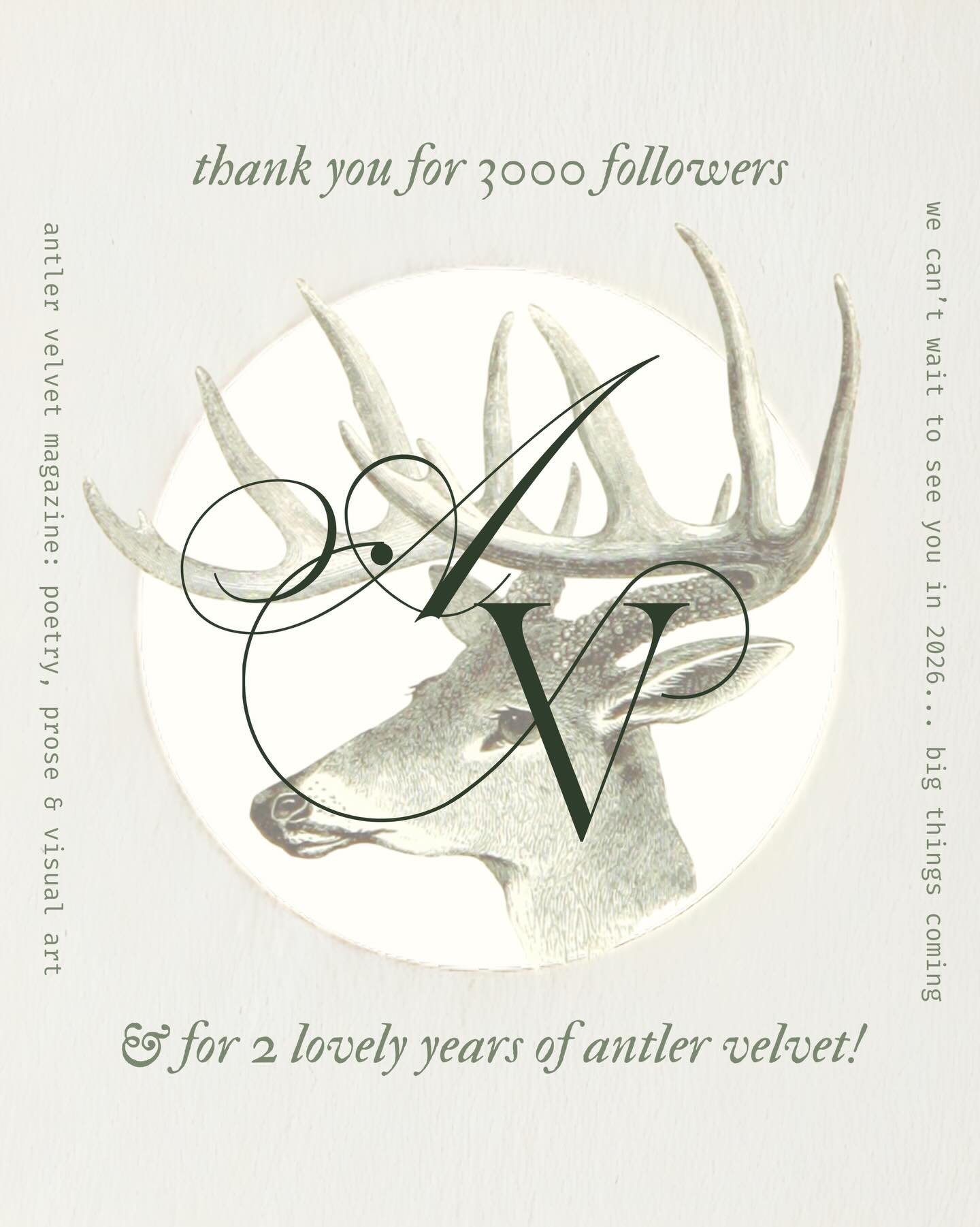 3K!!! 🦌 when AV launched in late 2023, it was just a little hobby project run by EIC @matineaux - who sought to create a non pretentious avenue for emerging creatives to get recognised. over our past 6 issues, we have seen some extremely talented co