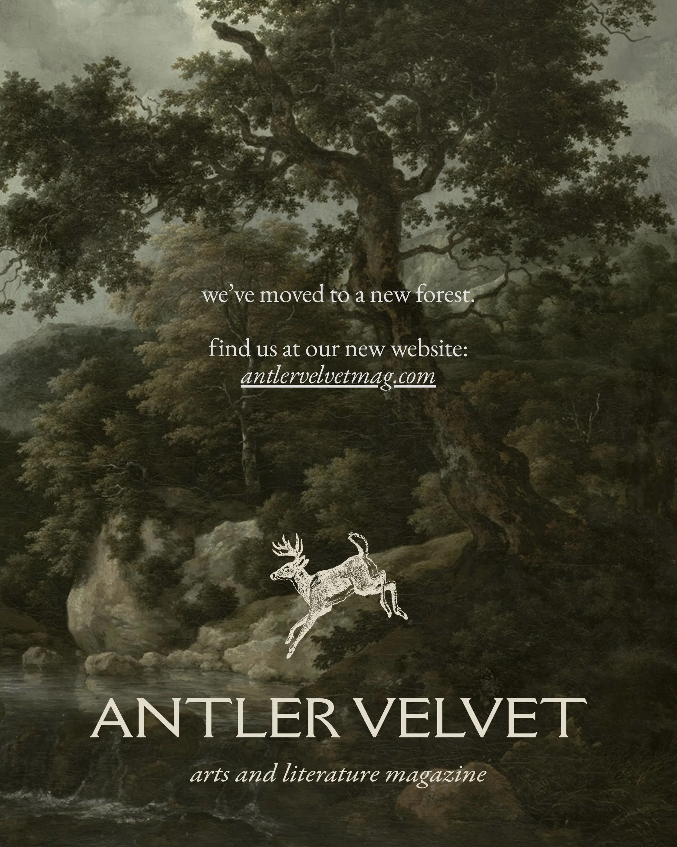 have you visited our new website yet? antlervelvetmag.com is our brand new habitat 🦌 &mdash; with a library for you to enjoy all our previous publications, a glimpse into our EIC @matineaux &lsquo;s manifesto, and a new space for literary and arts j