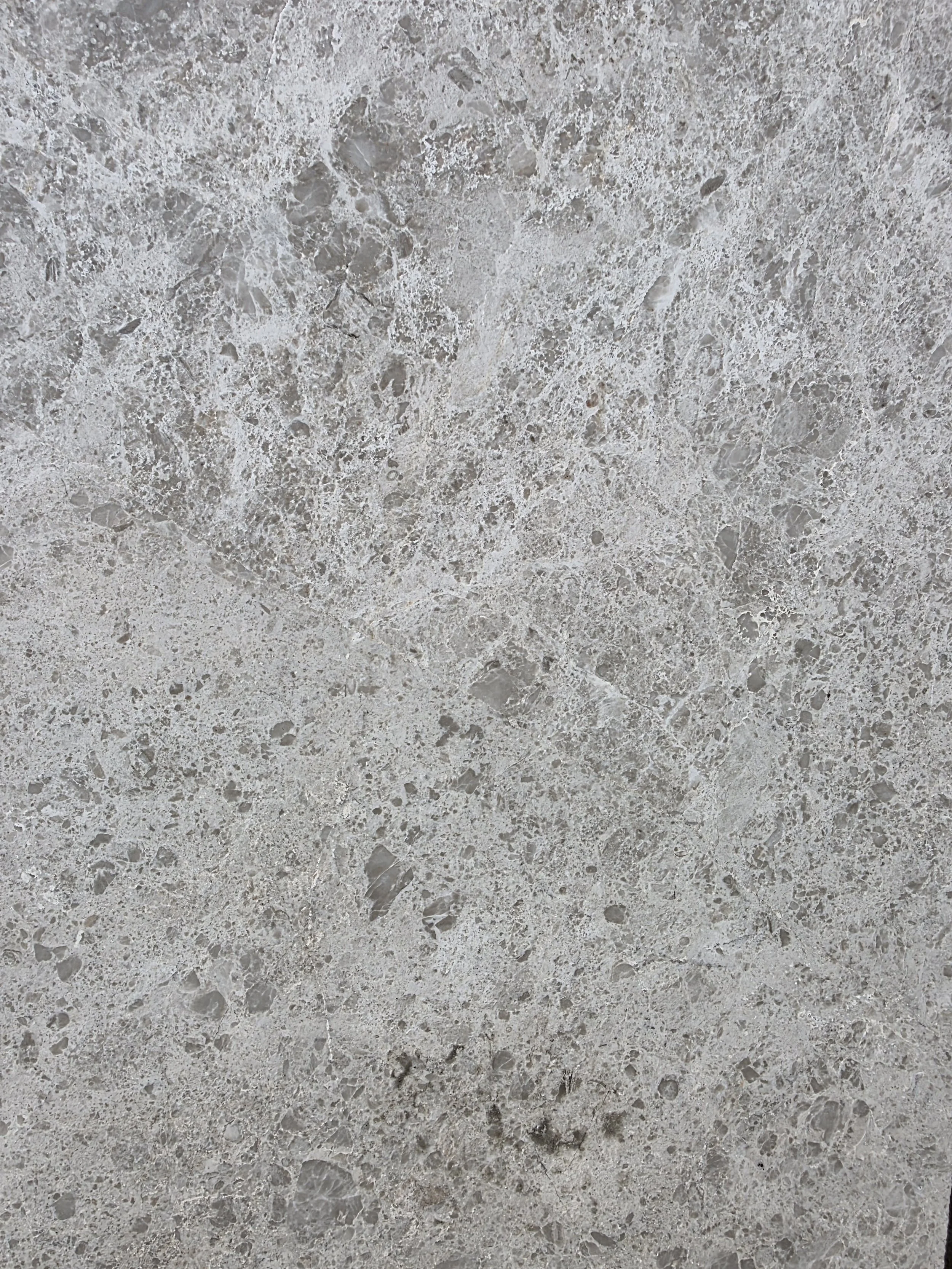 Close-up of a textured, light-colored stone surface with various small, irregular patterns.