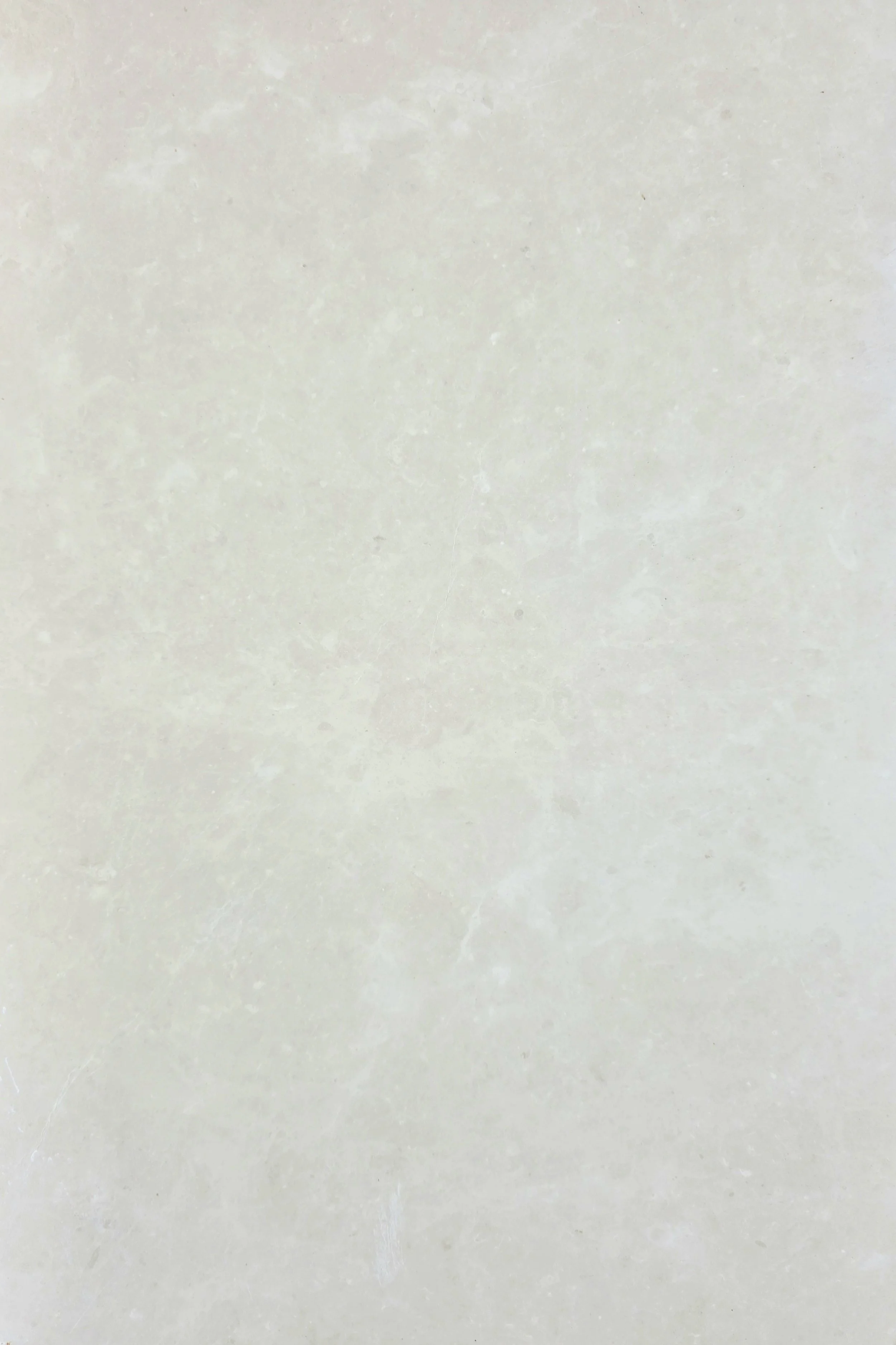 Close-up view of a light-colored, slightly textured surface natural stone