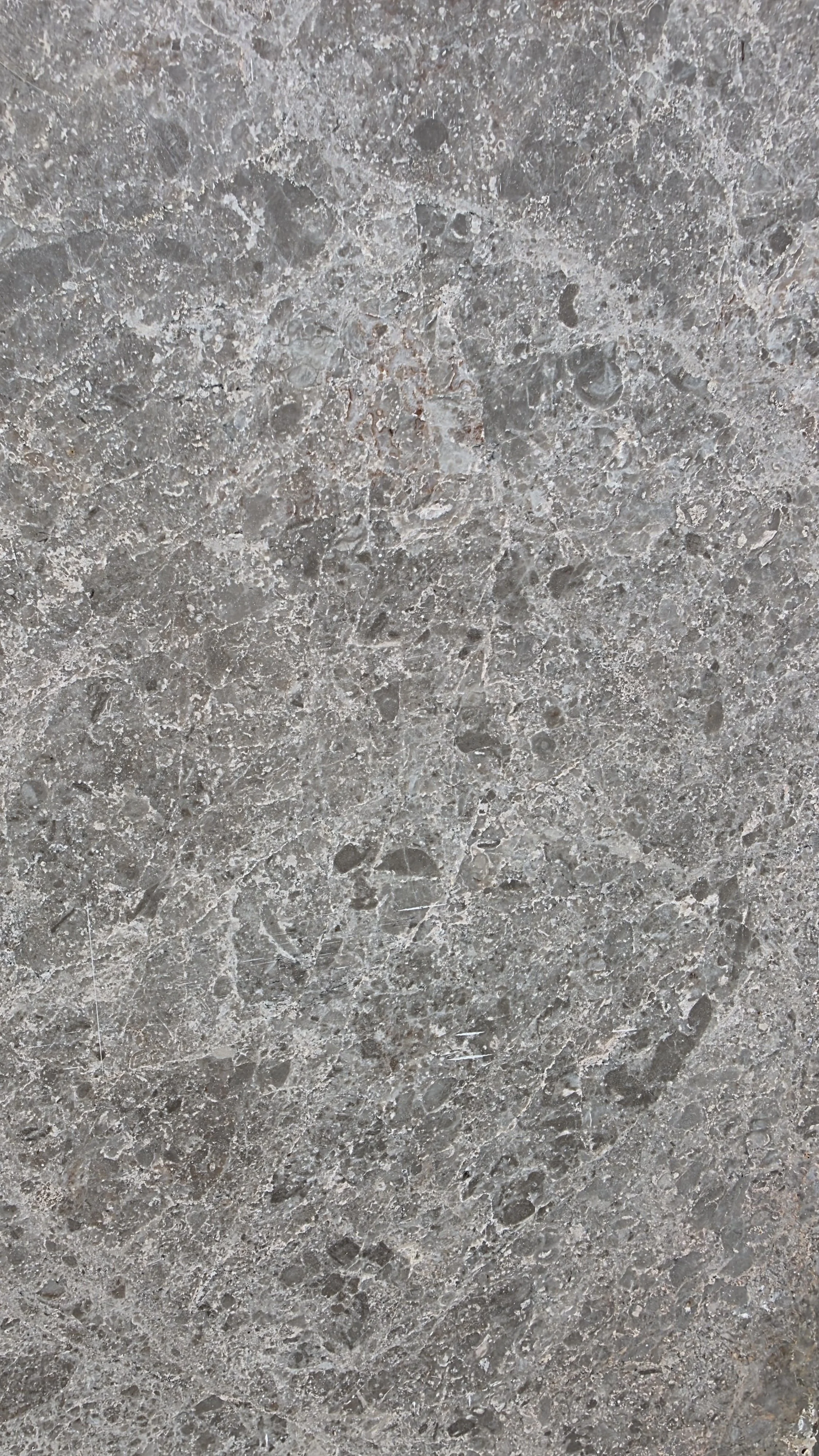 Close-up of a textured, gray stone surface with veins and patterns.