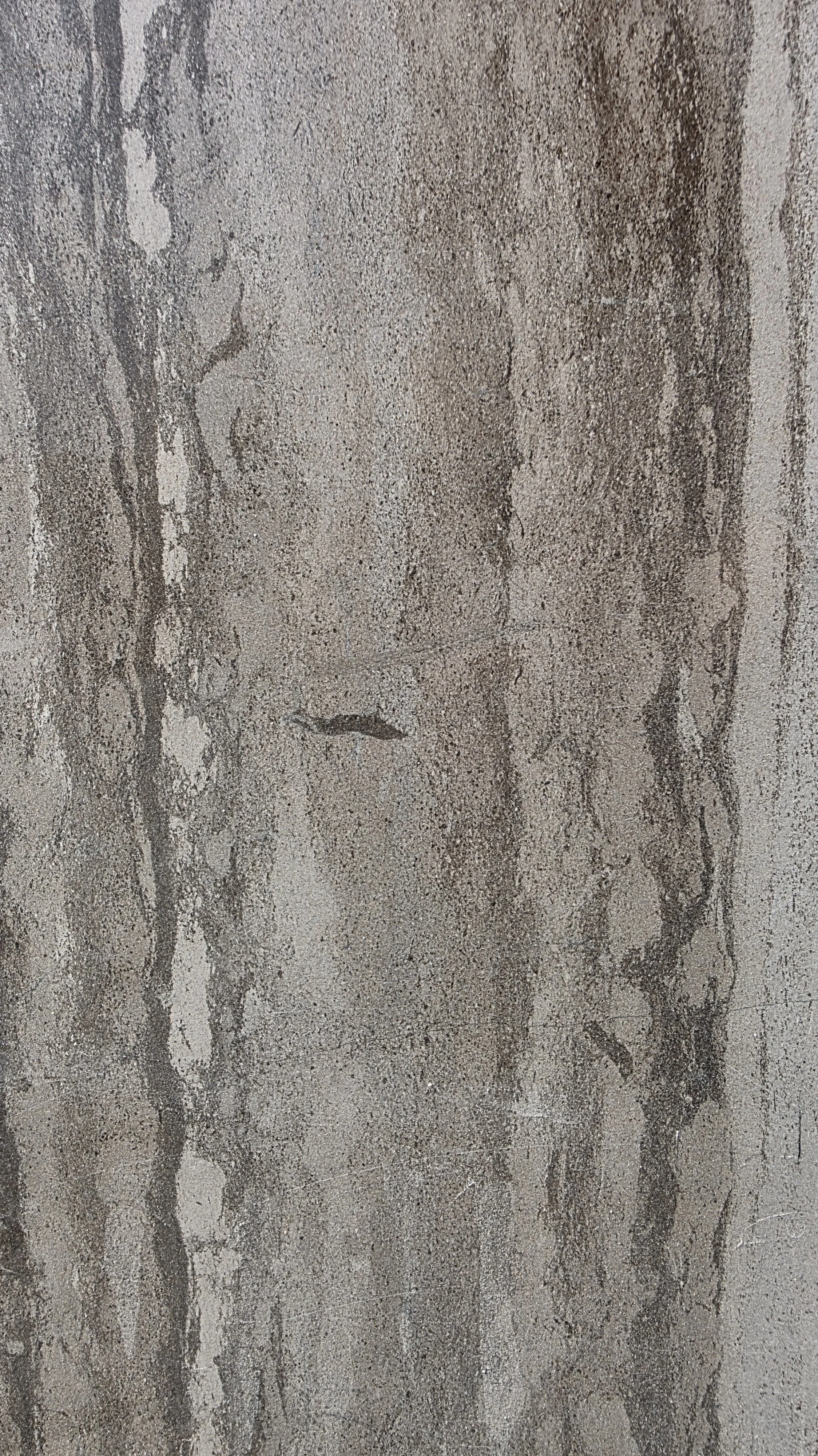 A close-up of a textured wall surface with gray and beige tones and irregular patterns.