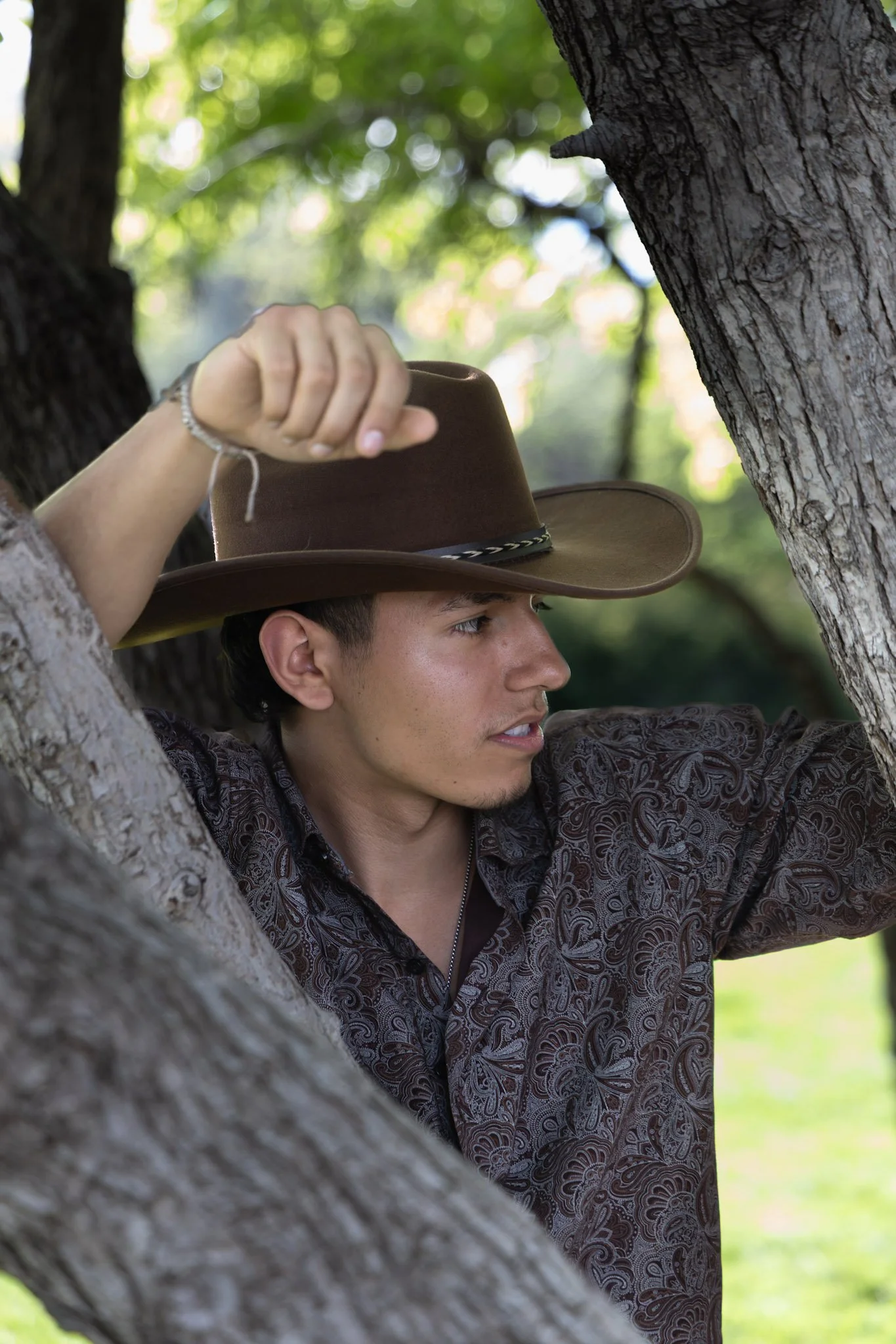 Young man wearing a cowboy hat and patterned shirt sitting between tree branches in a park.