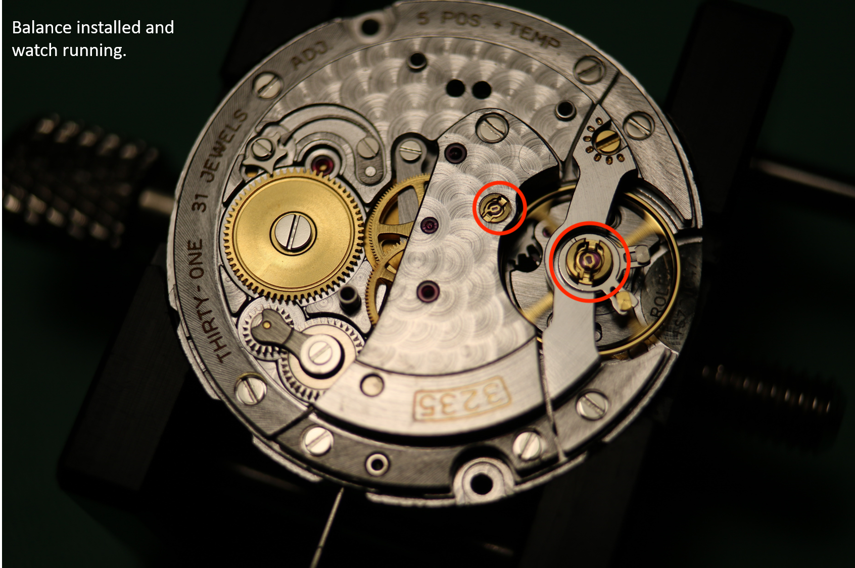 Rolex Paraflex Shock Spring Balance/Escape Wheel