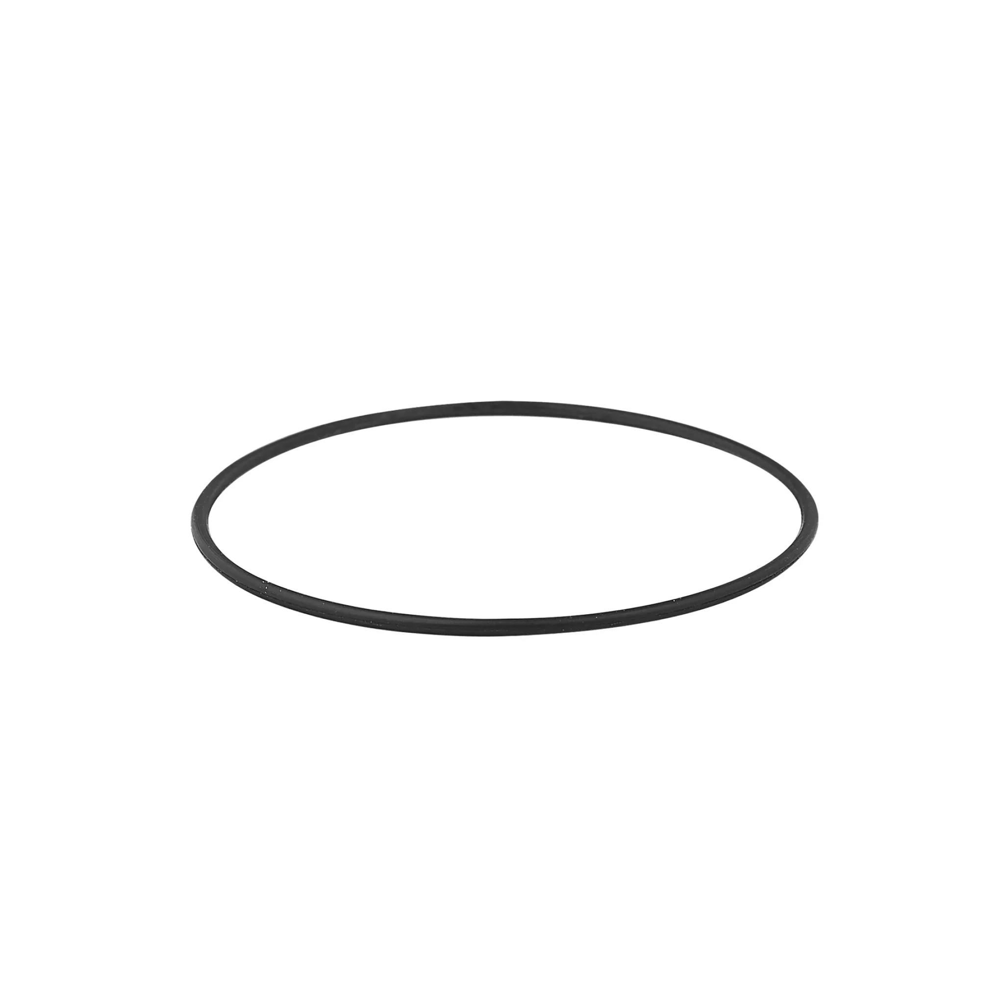 Rolex Caseback Gasket
