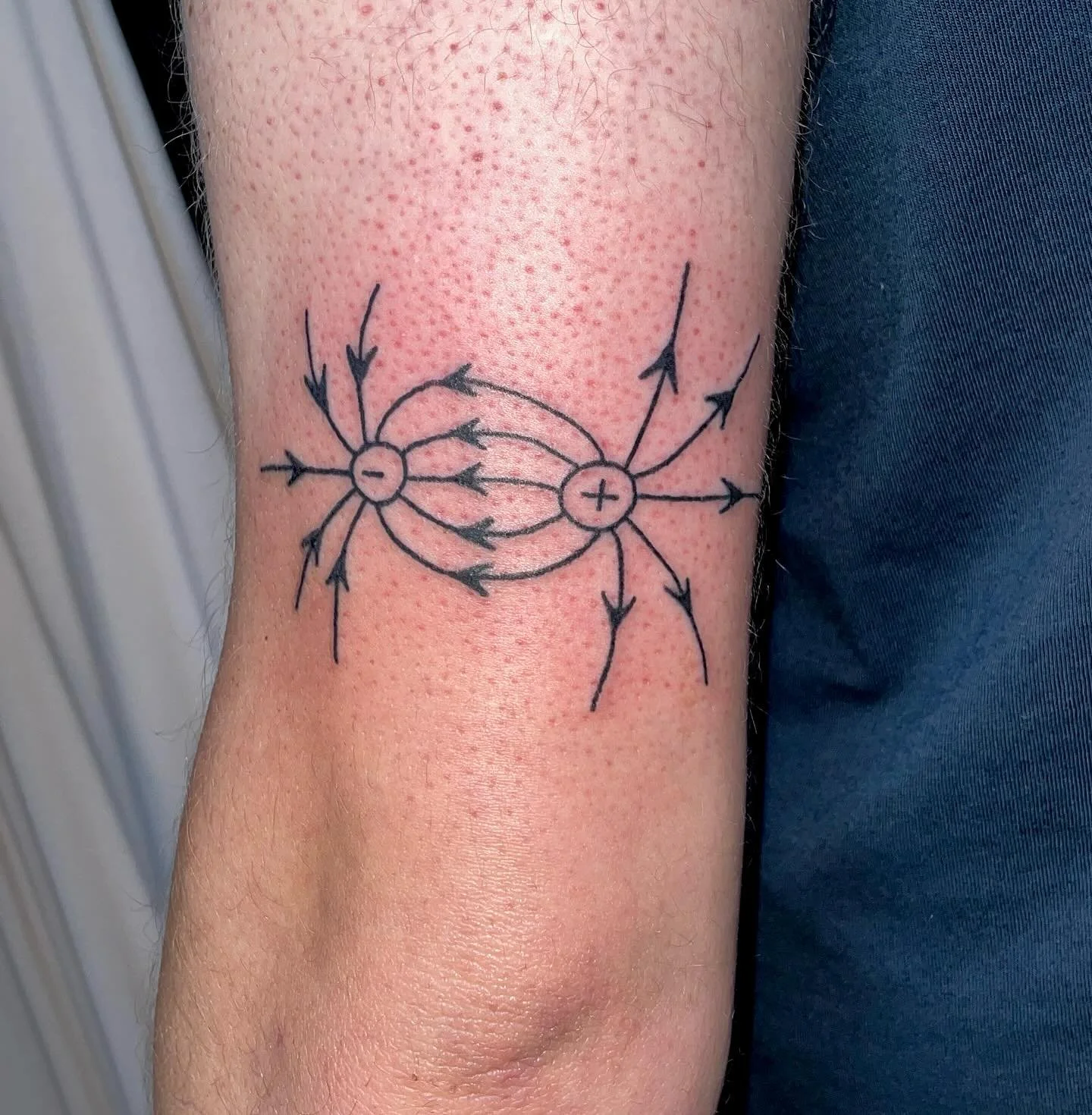 a few of the pieces i got to do at @friendmuseum for the @haricotvert tour !!! thank you alllllll <3