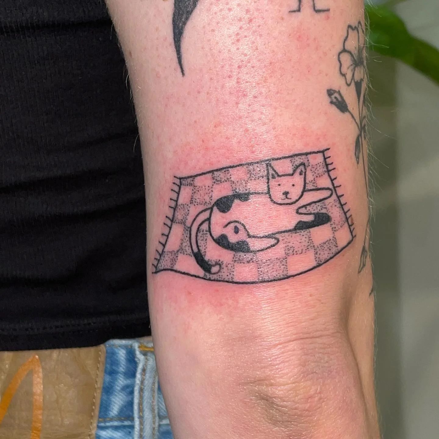 handpoked for Annie &lt;3 + healed floral piece