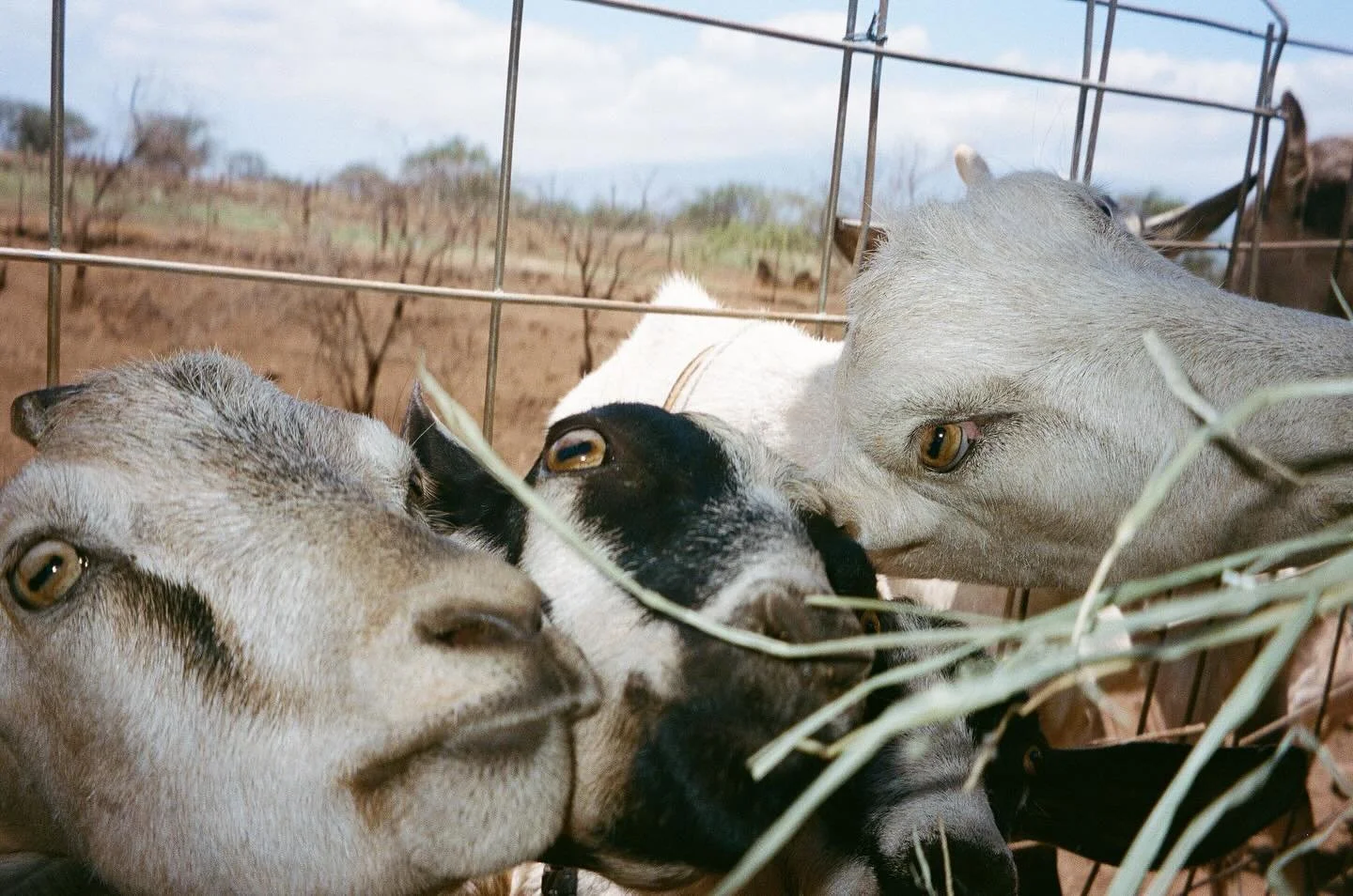 Some film from 2025 🚣🏻