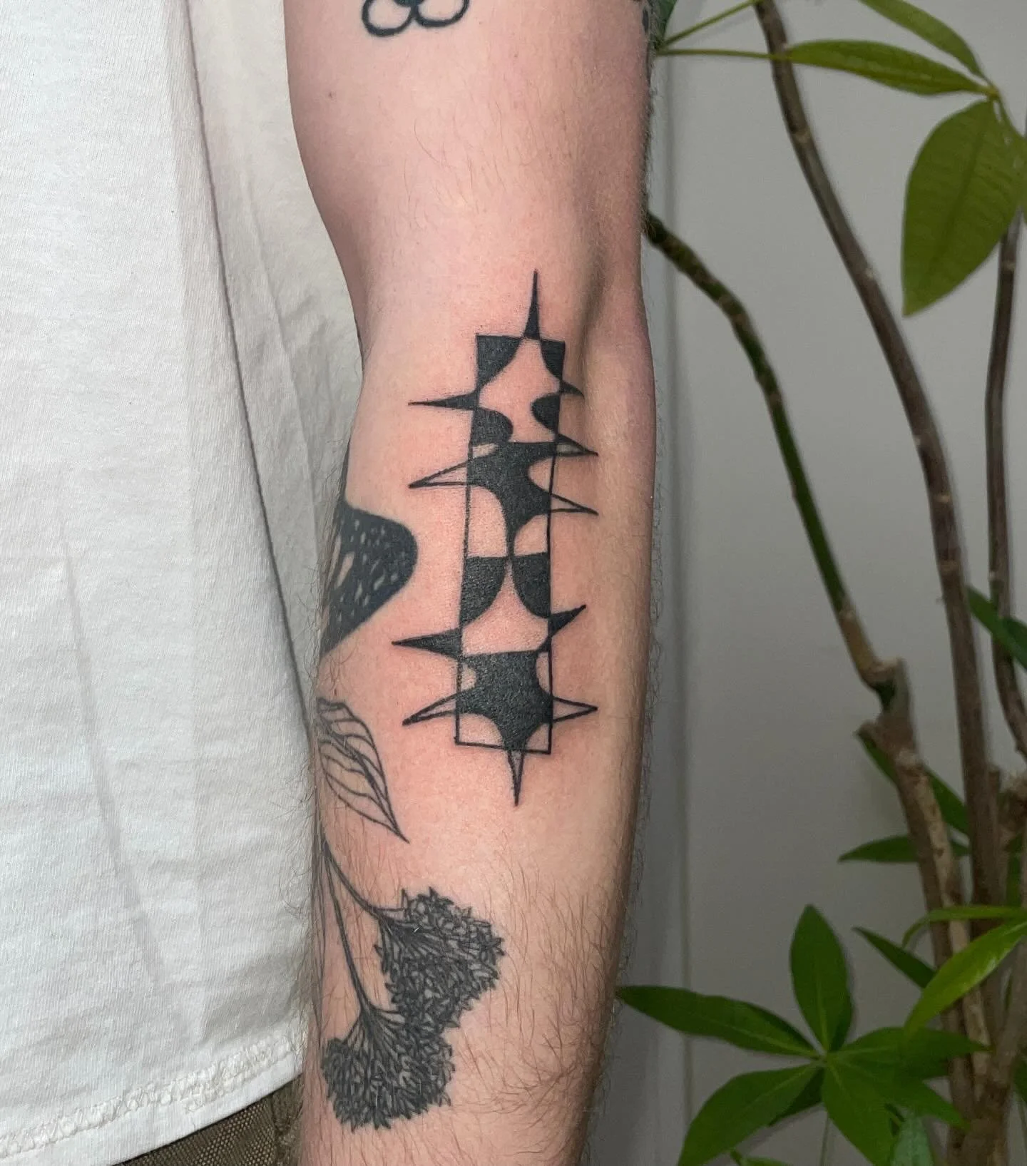 my sweet raffle winner ayden + a dog i saw on the drive home