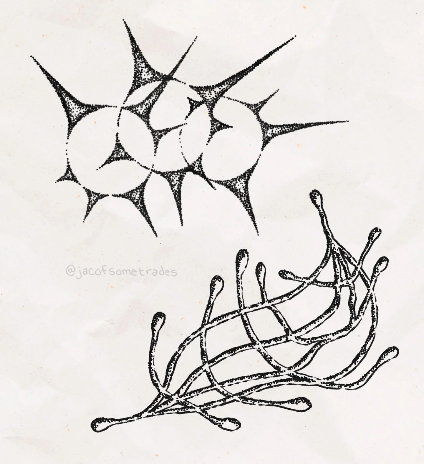 💫🦕 March 2026 flash 🦕💫

drew a lot of these in joshua tree or while watching fantasia and i think you can tell
Repeatable flash, booking link in bio.  Currently booking seattle // portland dates tbd <3

Dreaming about abstract pieces going wri