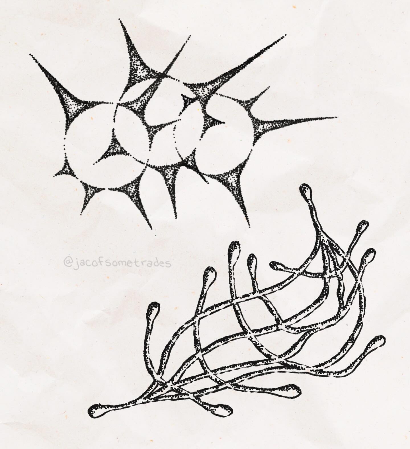 💫🦕 March 2026 flash 🦕💫

drew a lot of these in joshua tree or while watching fantasia and i think you can tell
Repeatable flash, booking link in bio.  Currently booking seattle // portland dates tbd <3

Dreaming about abstract pieces going wri