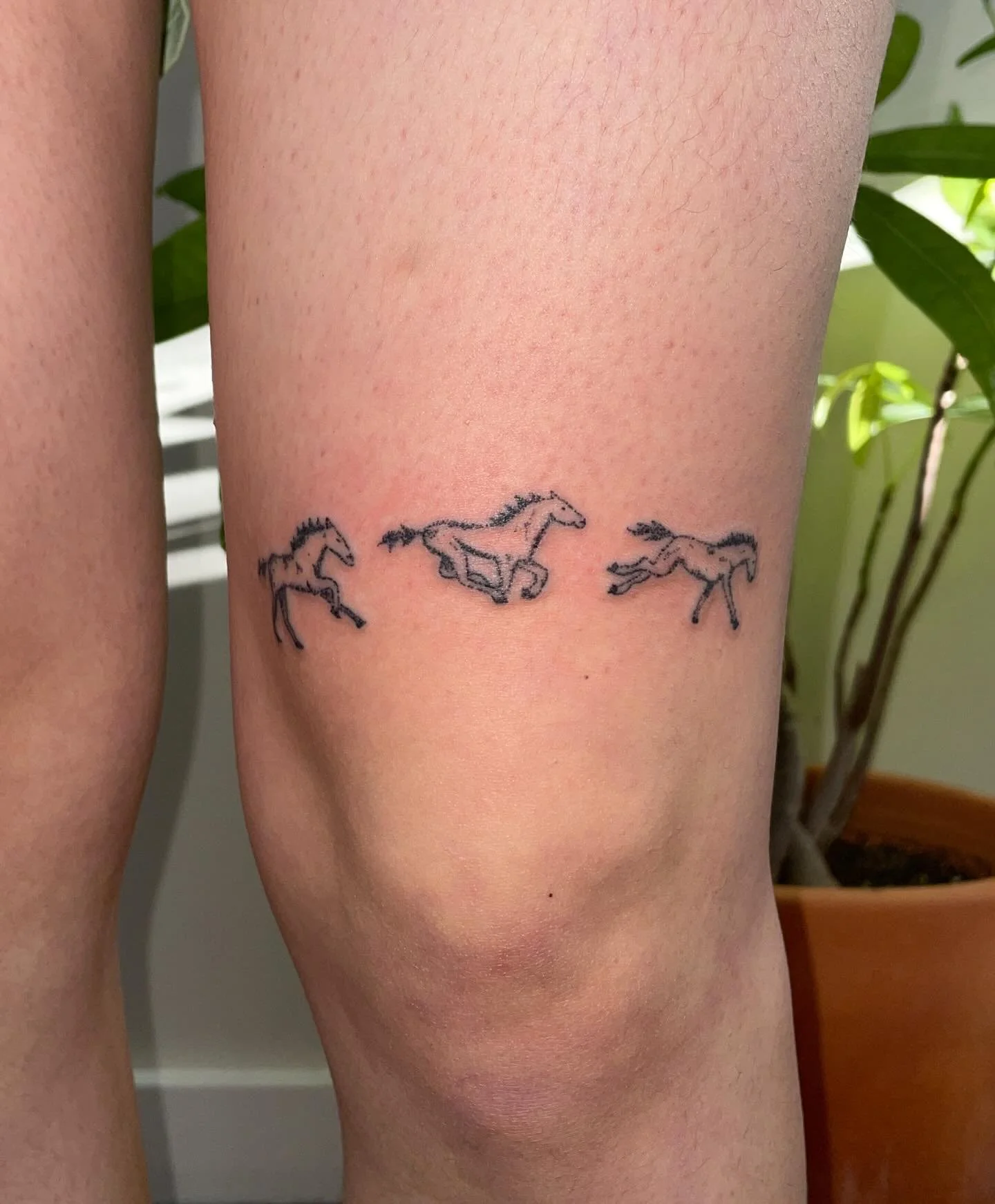 handpoked for Charlotte 🐎