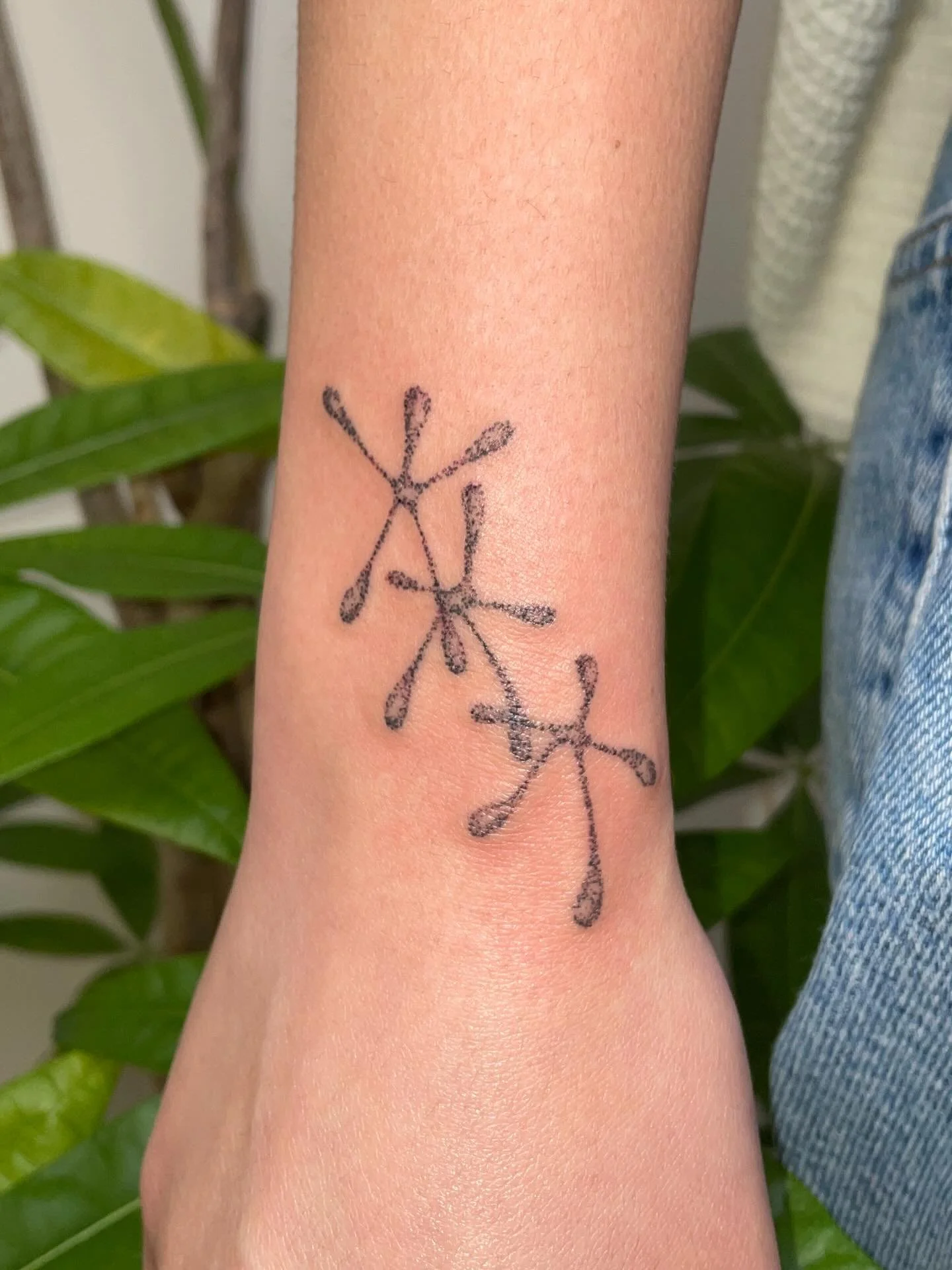 handpoked for Rianne :)

#seattletattoo #seattlehandpoke #handpoke #stickandpoke #seattleartist