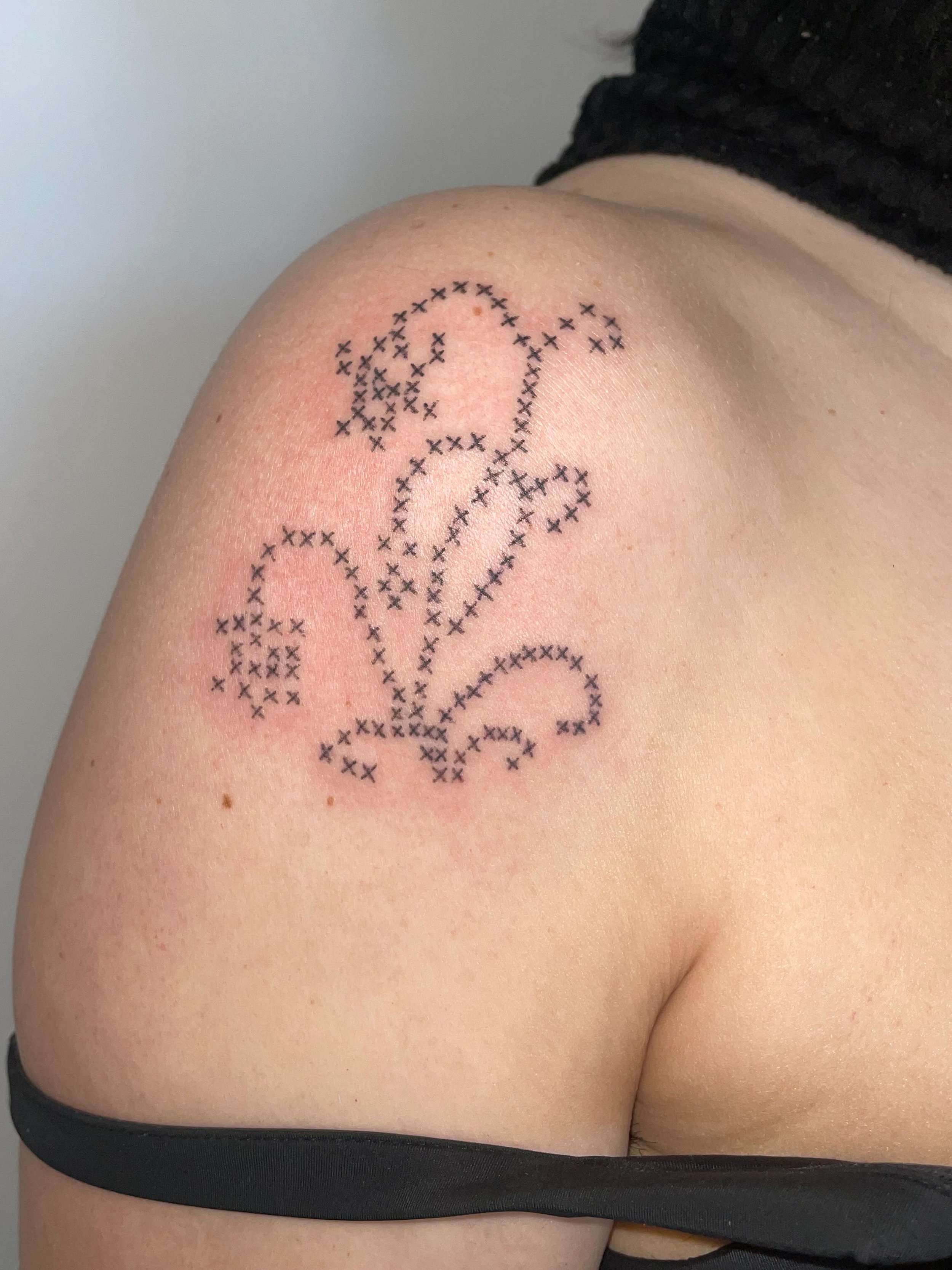 handpoked cross stitch pattern for Emily <333