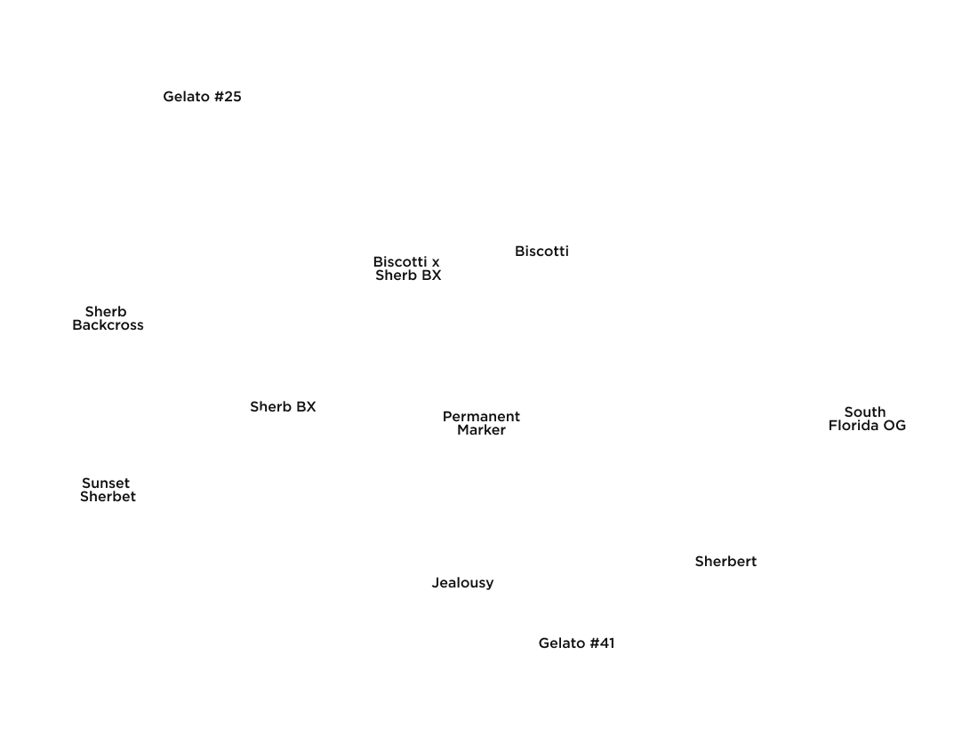 Permanent Marker – Lineage Family Tree