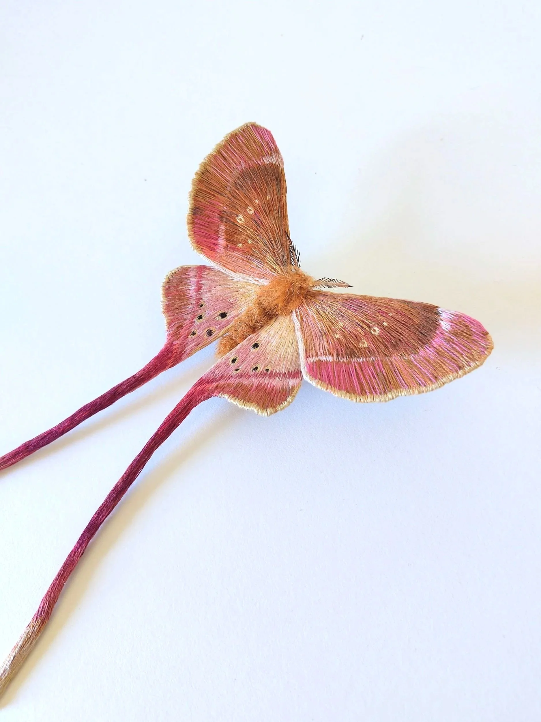 moth+14.jpg
