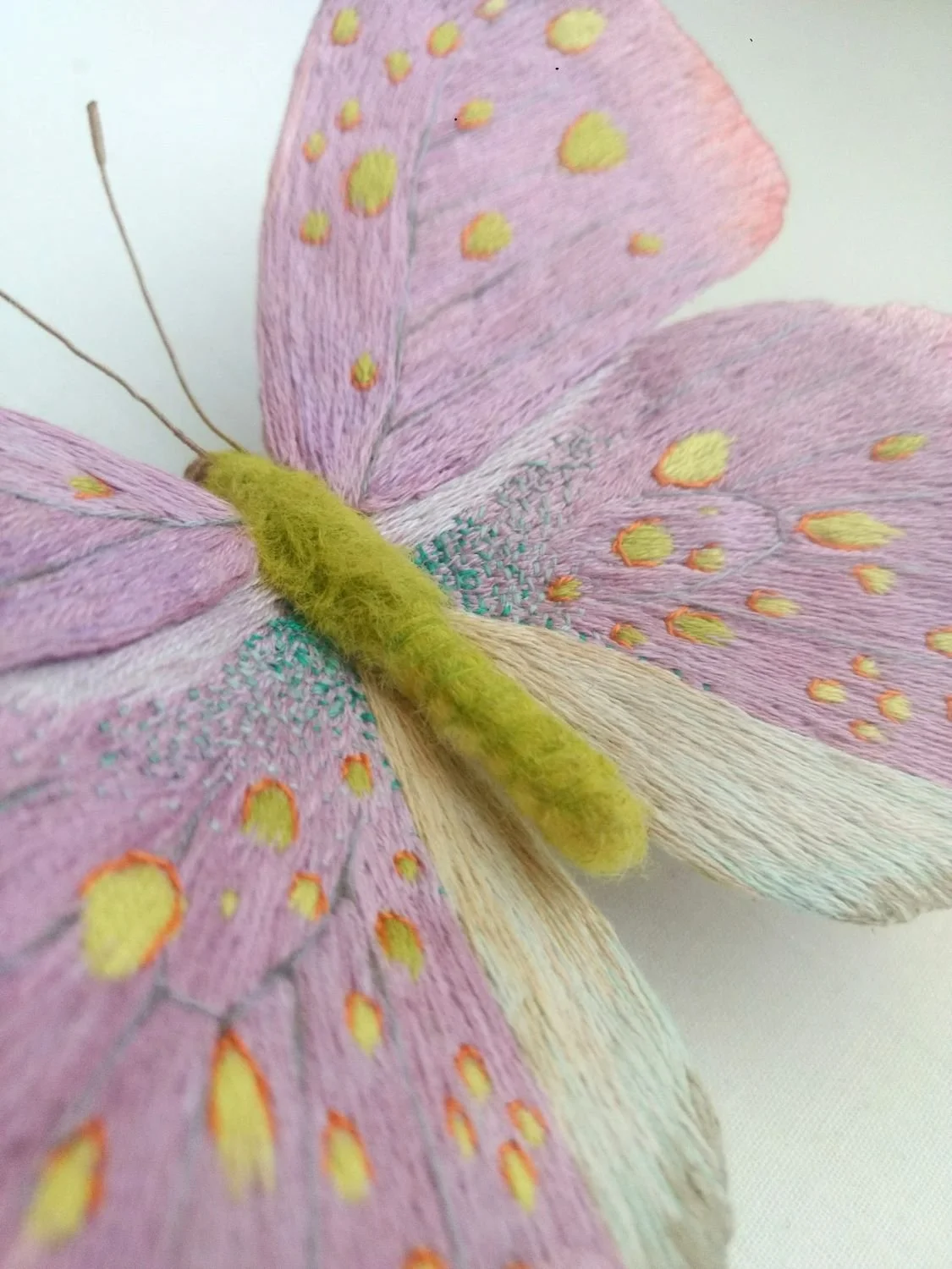butterfly2.jpg