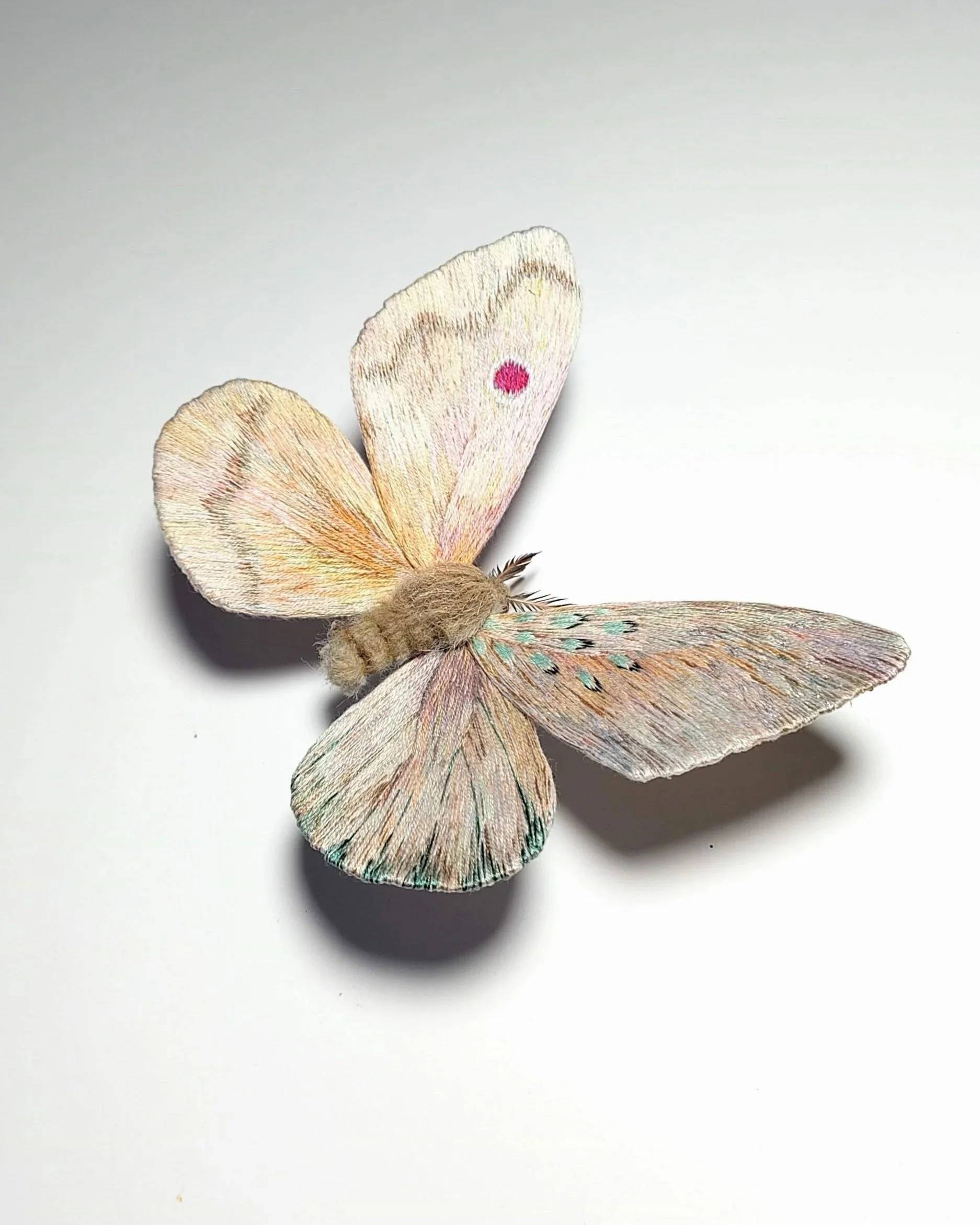 Original design moth