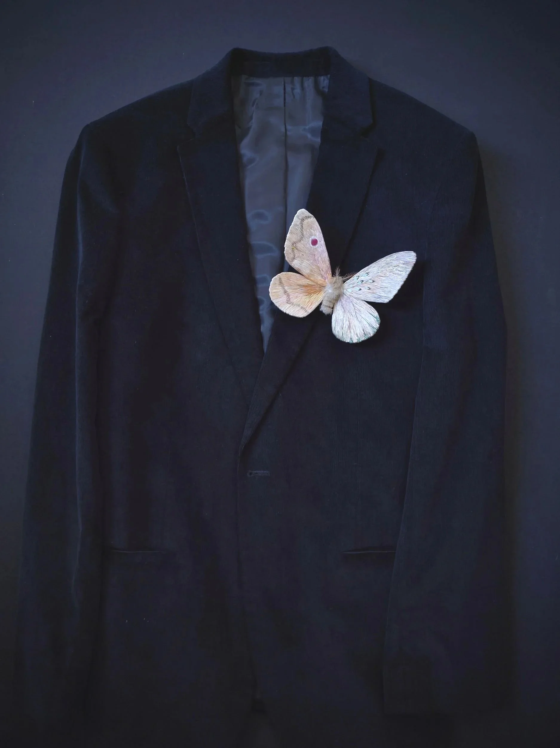 Brooch - Original design moth