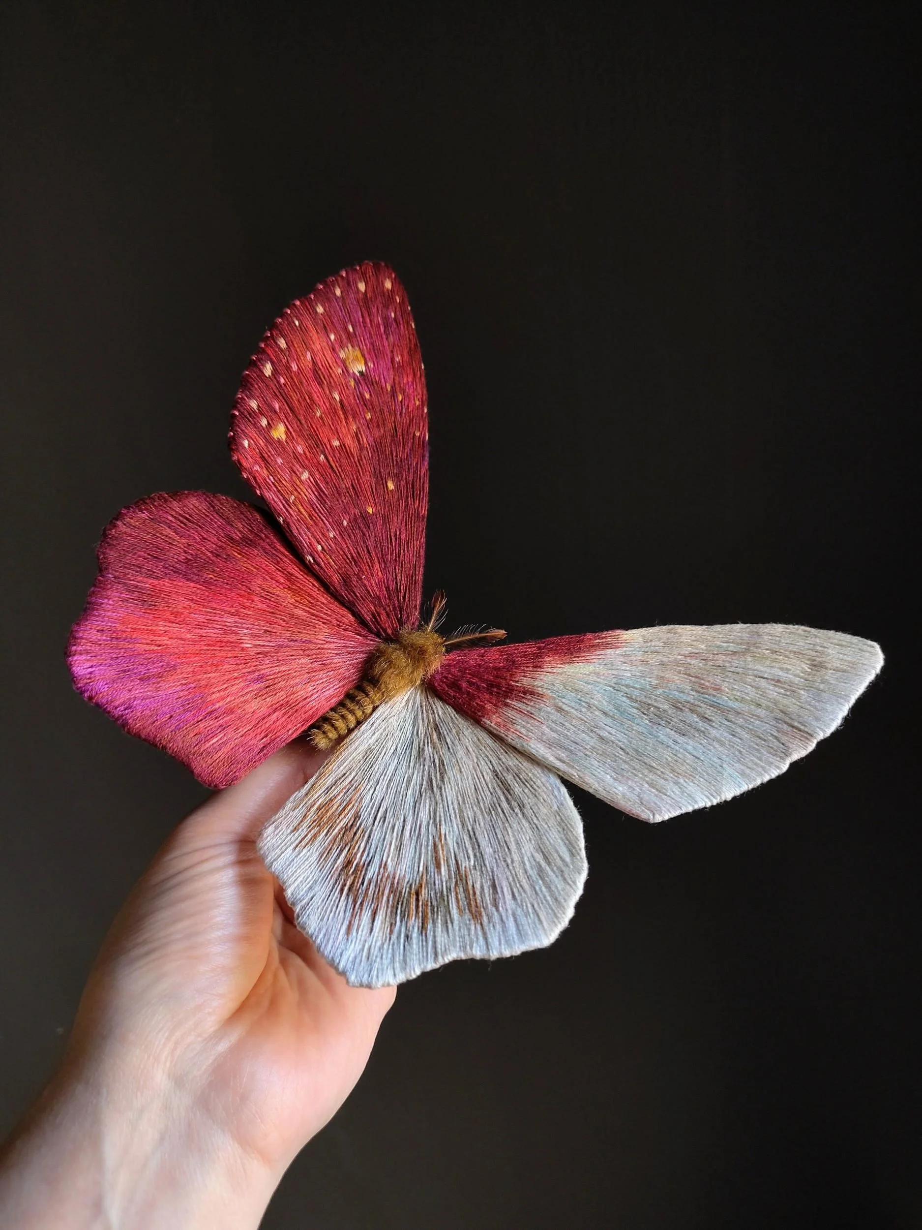 Original design moth