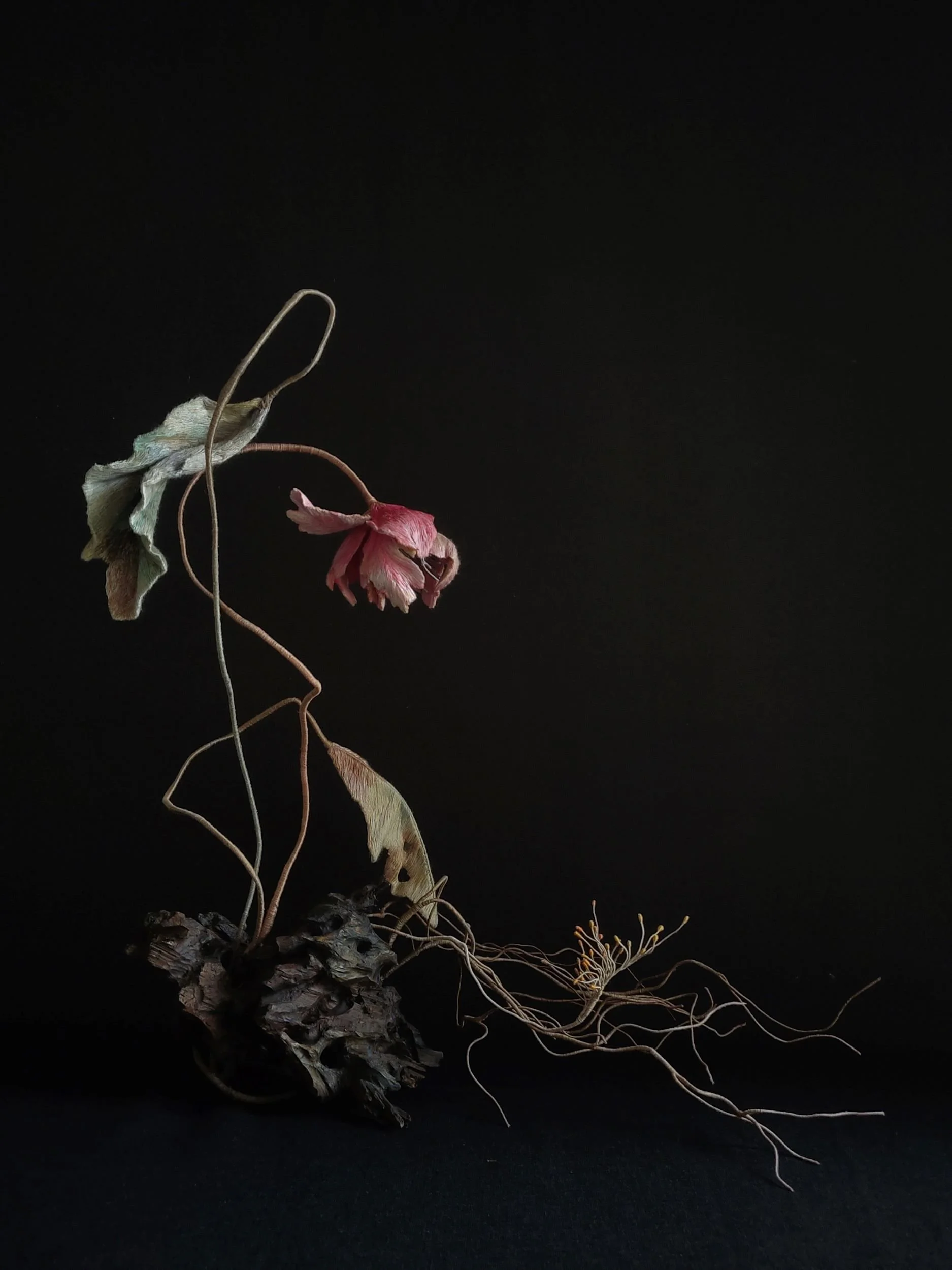 Botanical sculpture