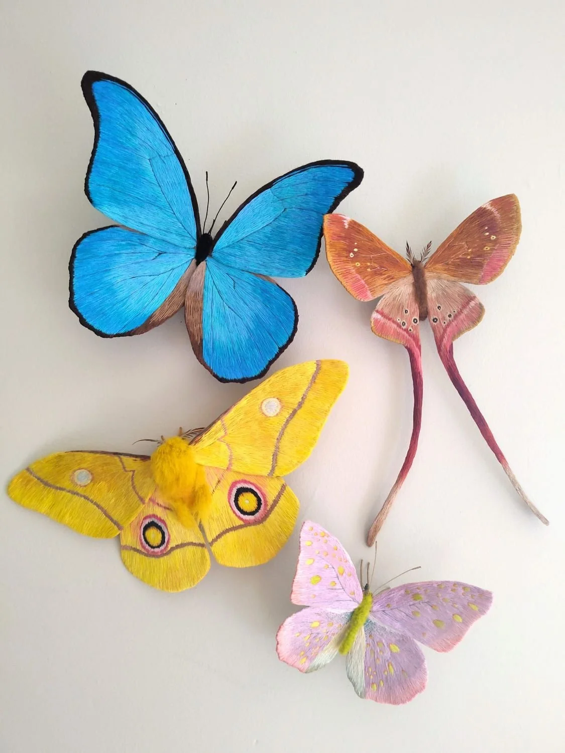 butterfly1-1.jpg (Copy)