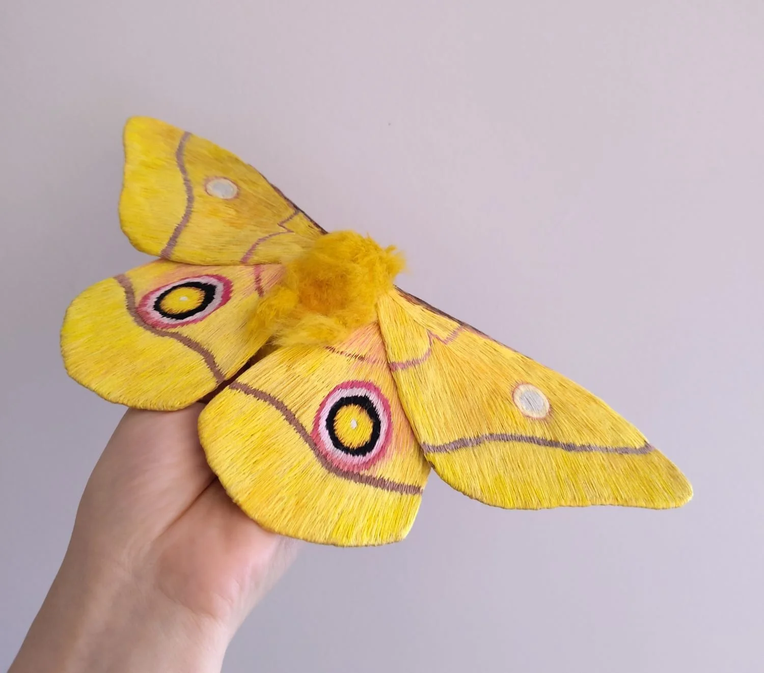 Nudaurelia krucki moth