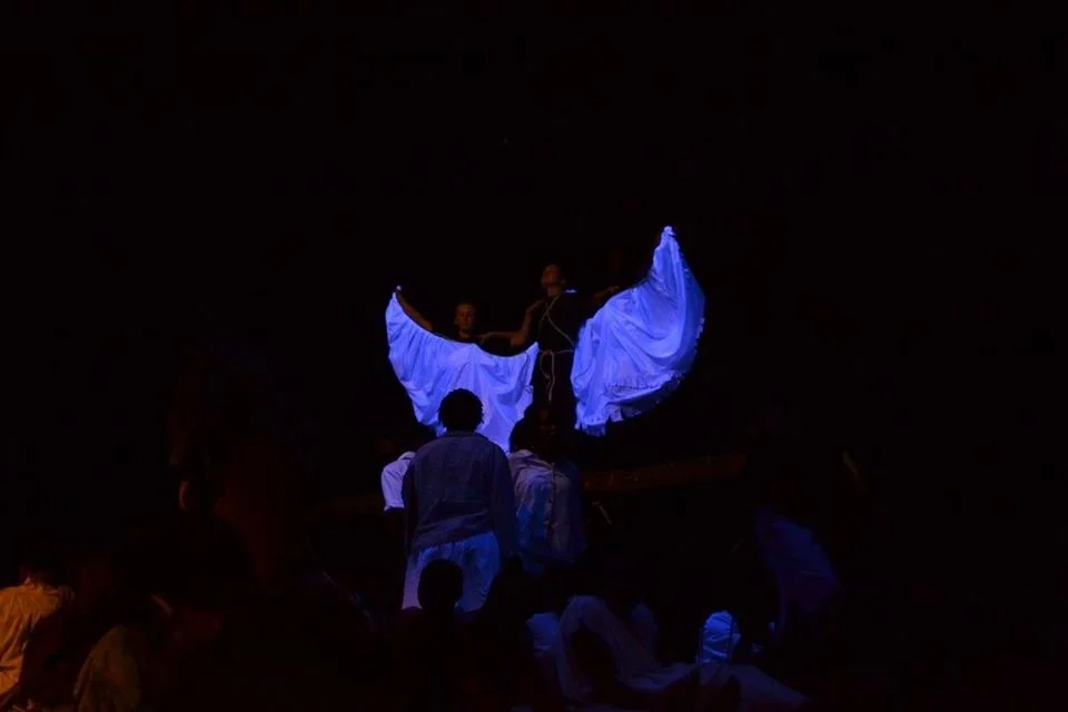 albatross in the sky.jpg