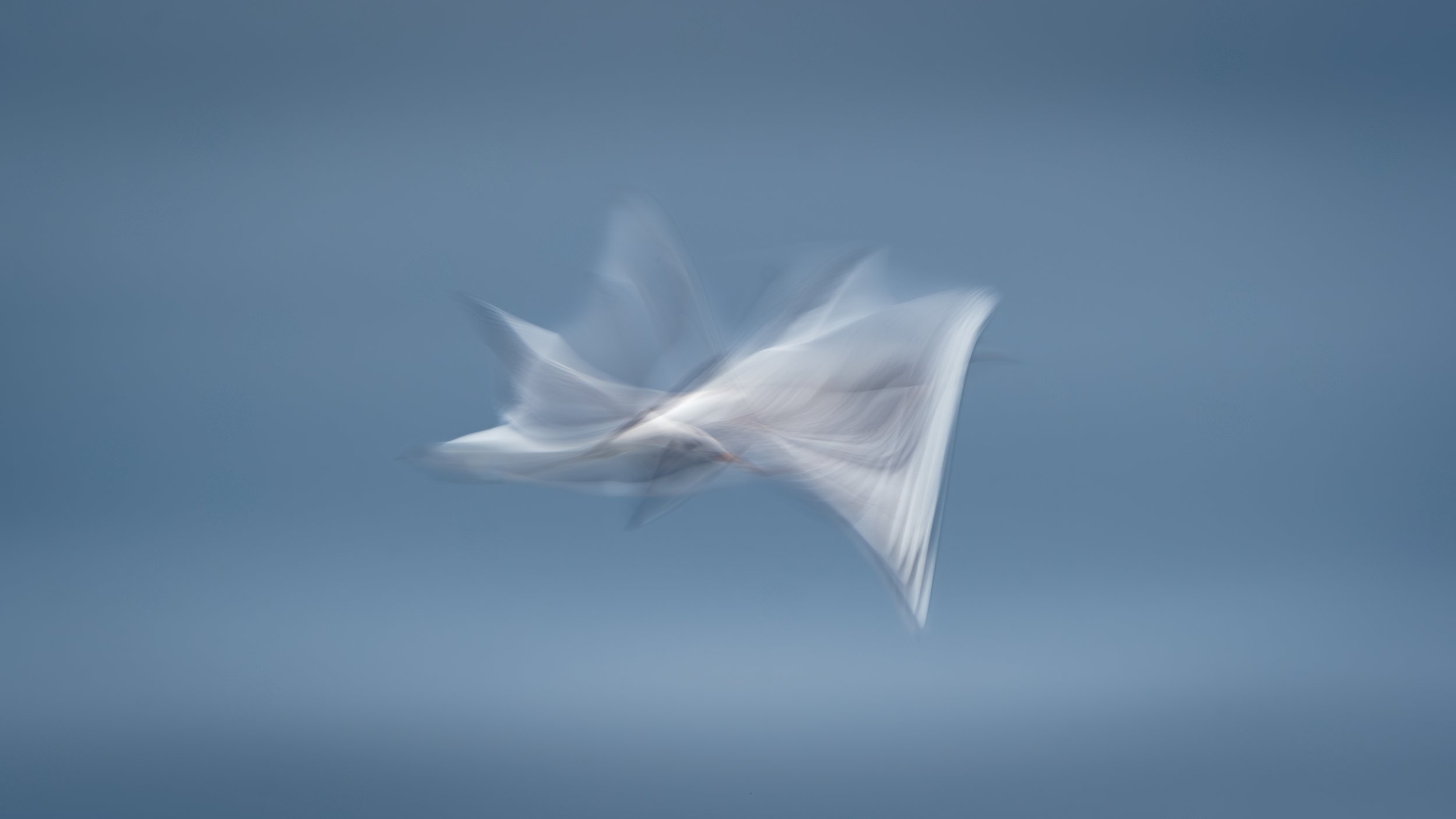 Flight-8.jpg
