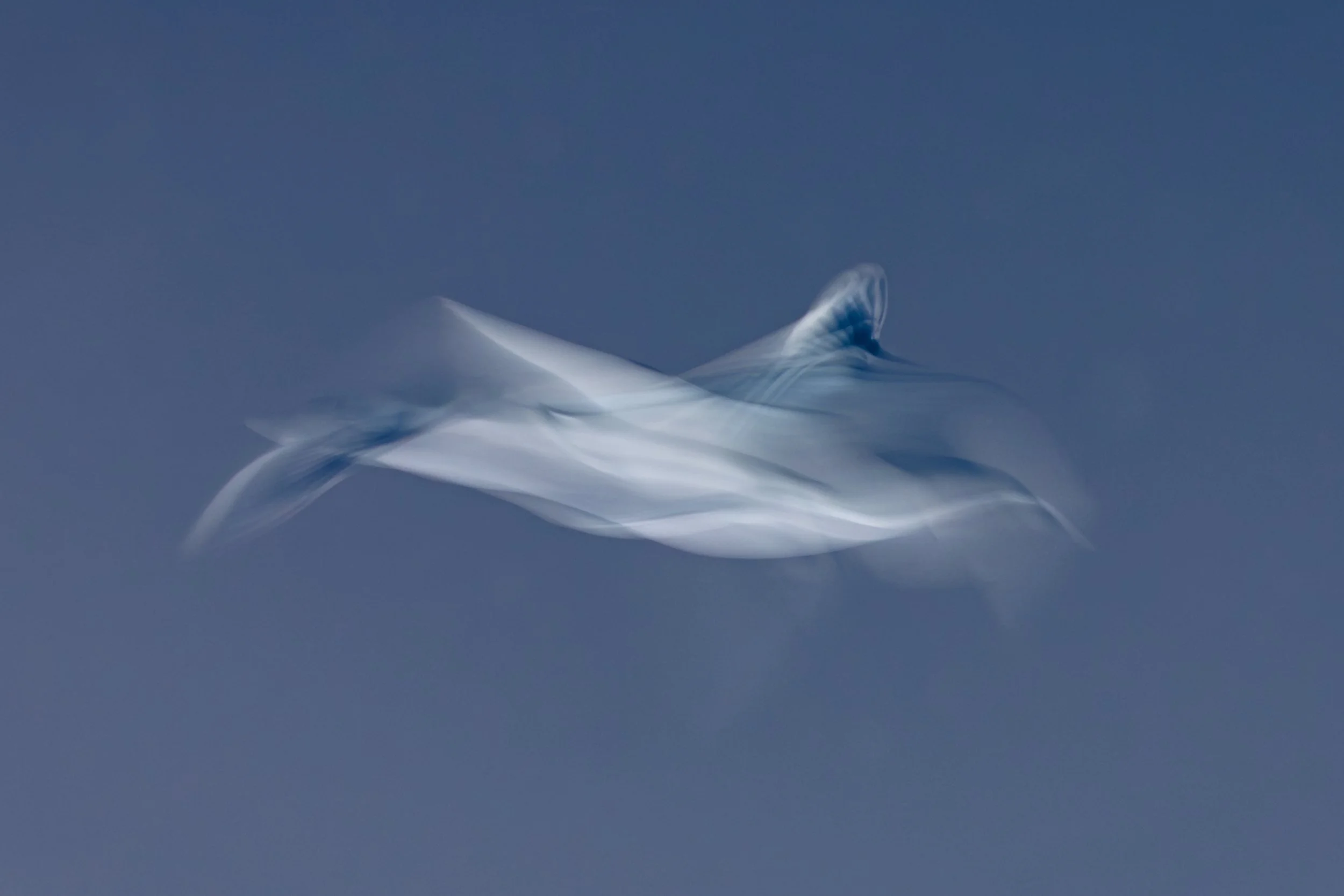 Flight-16.jpg