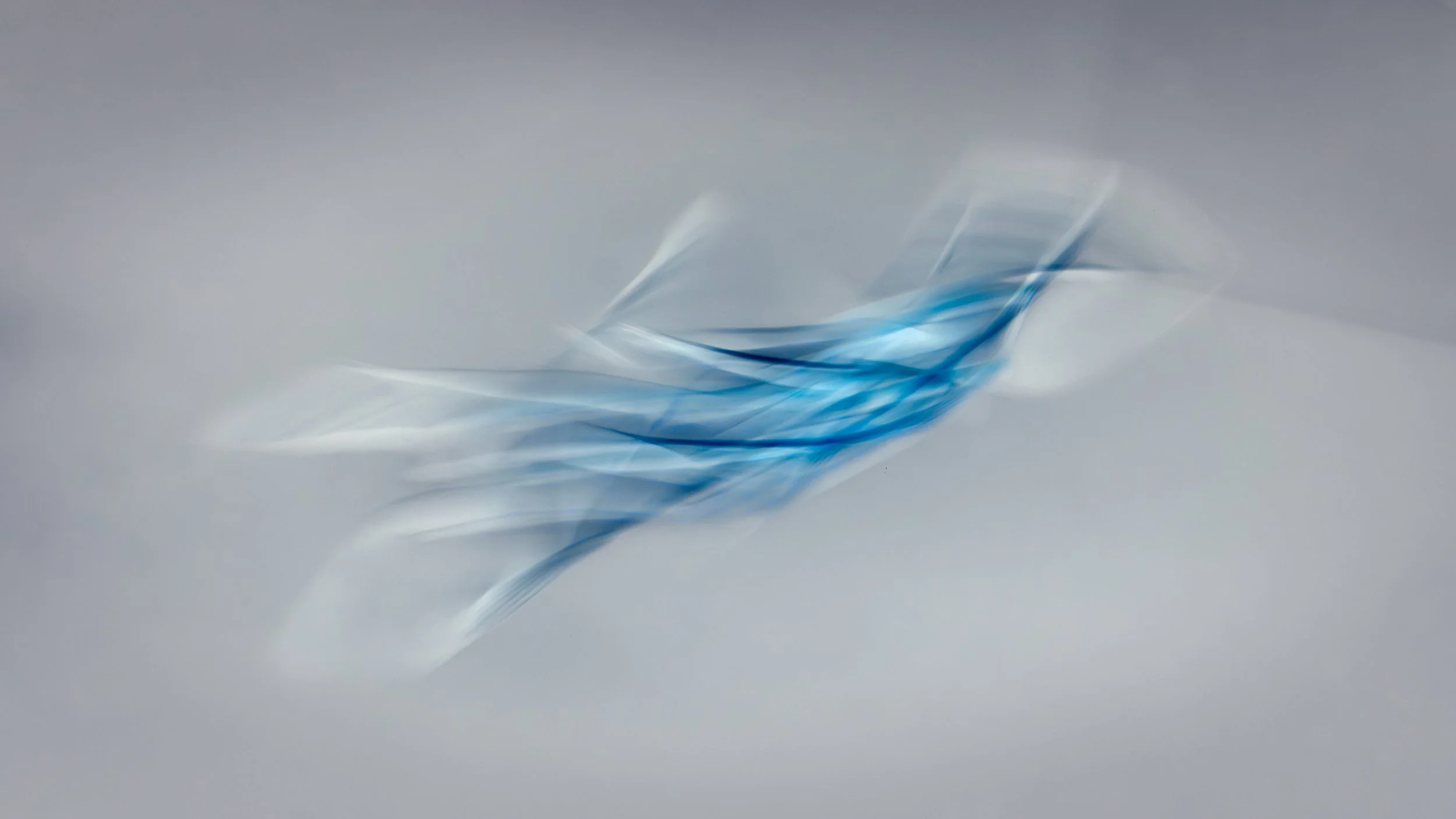 Flight-3.jpg