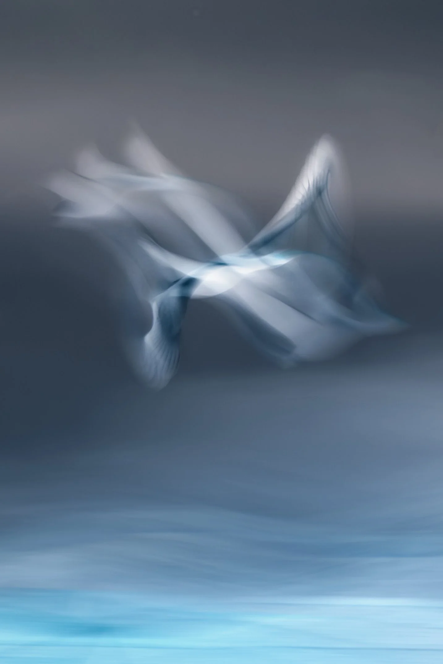 lim7bird.jpg