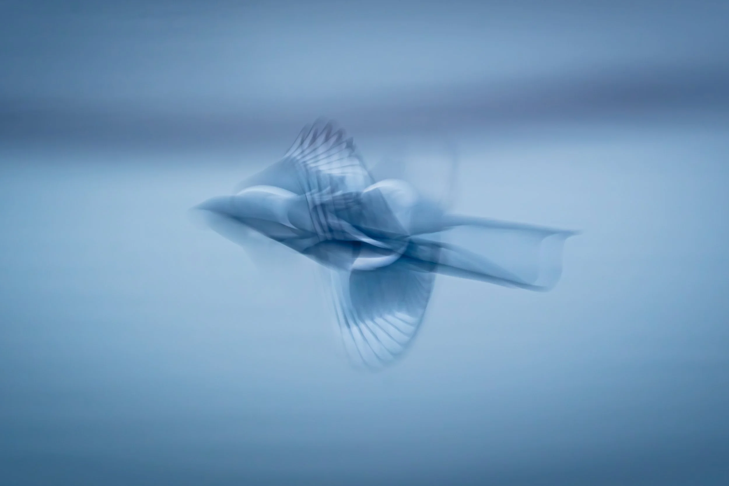 Flight-20.jpg