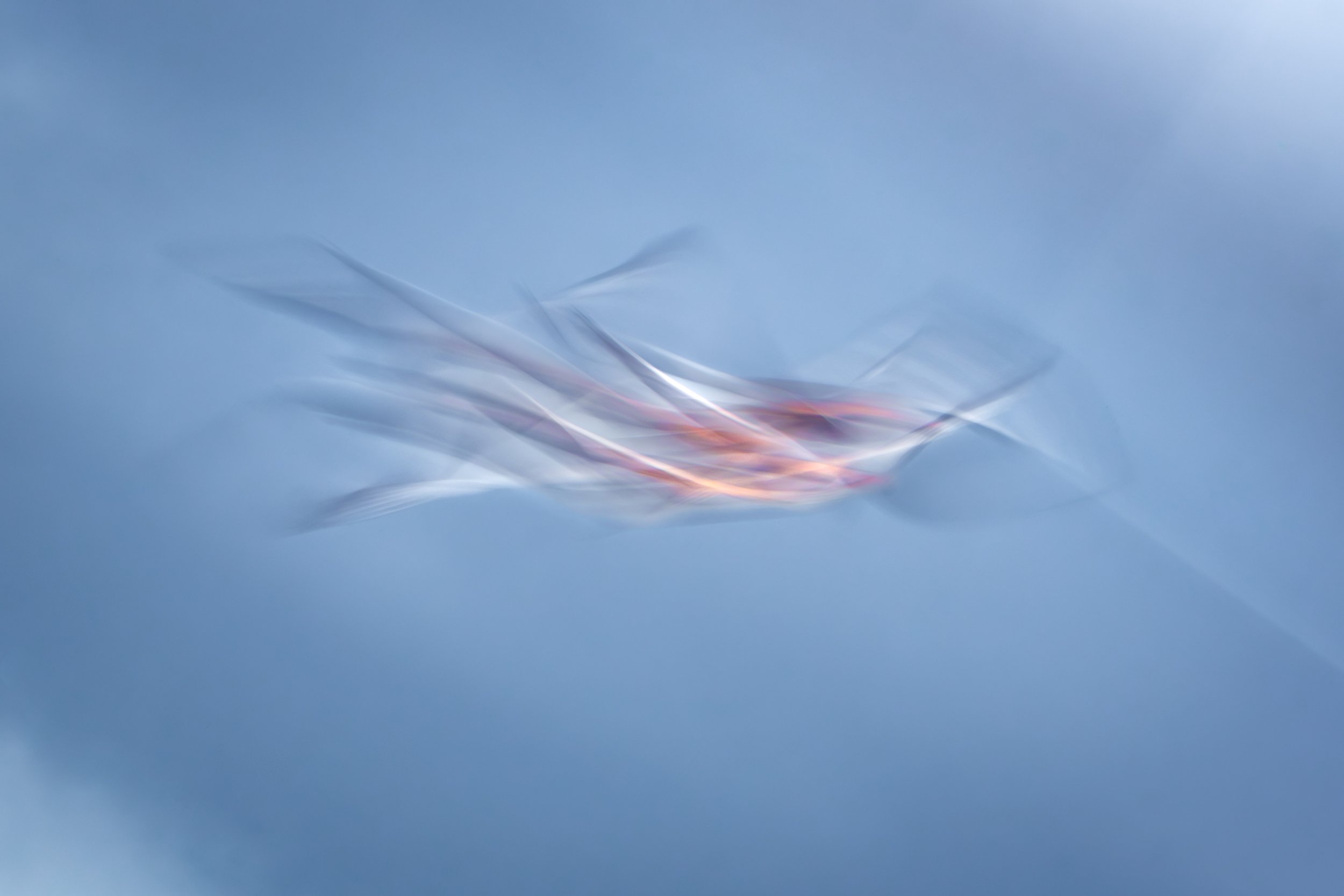 Flight-4.jpg