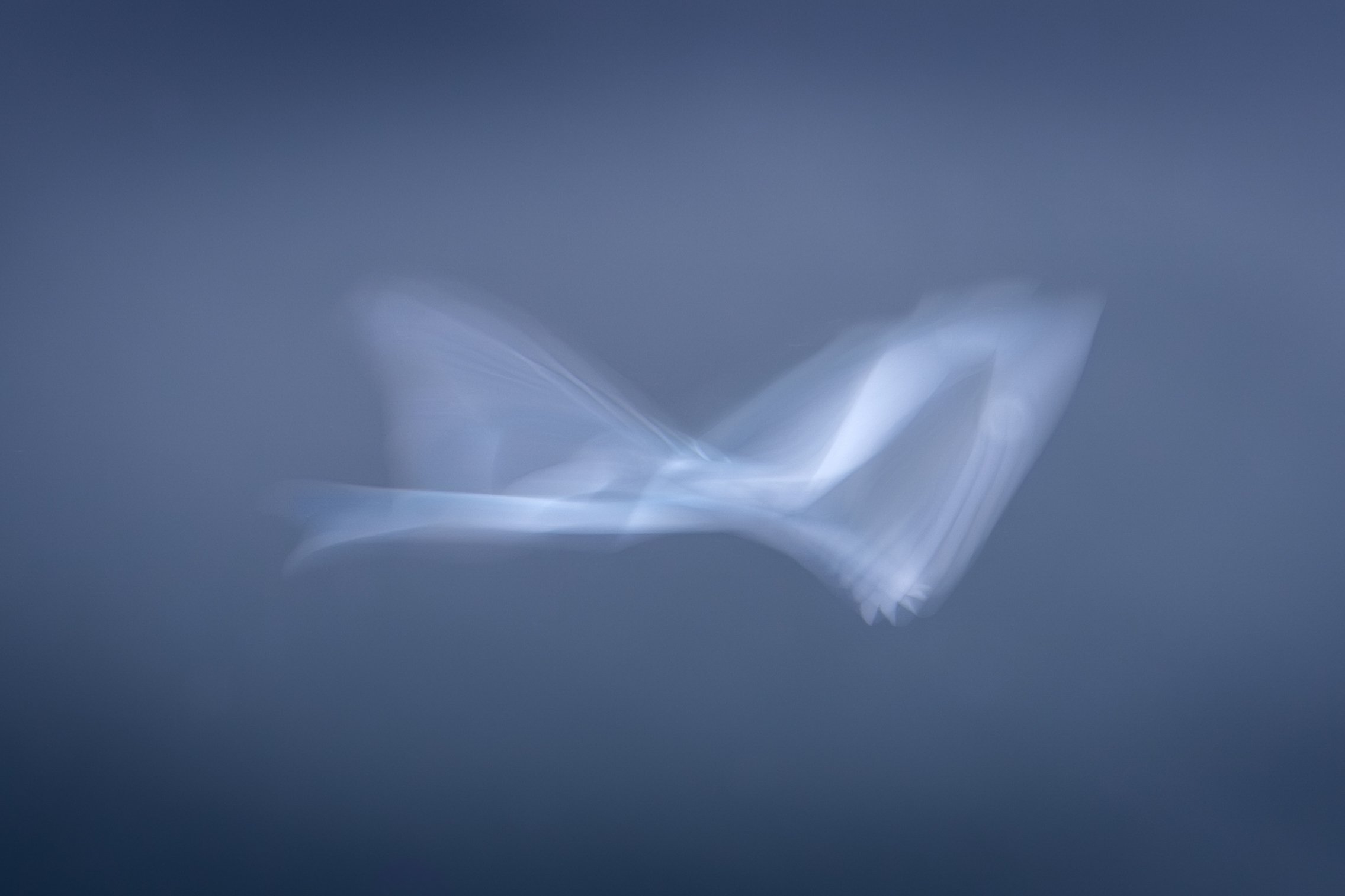 Flight-2.jpg