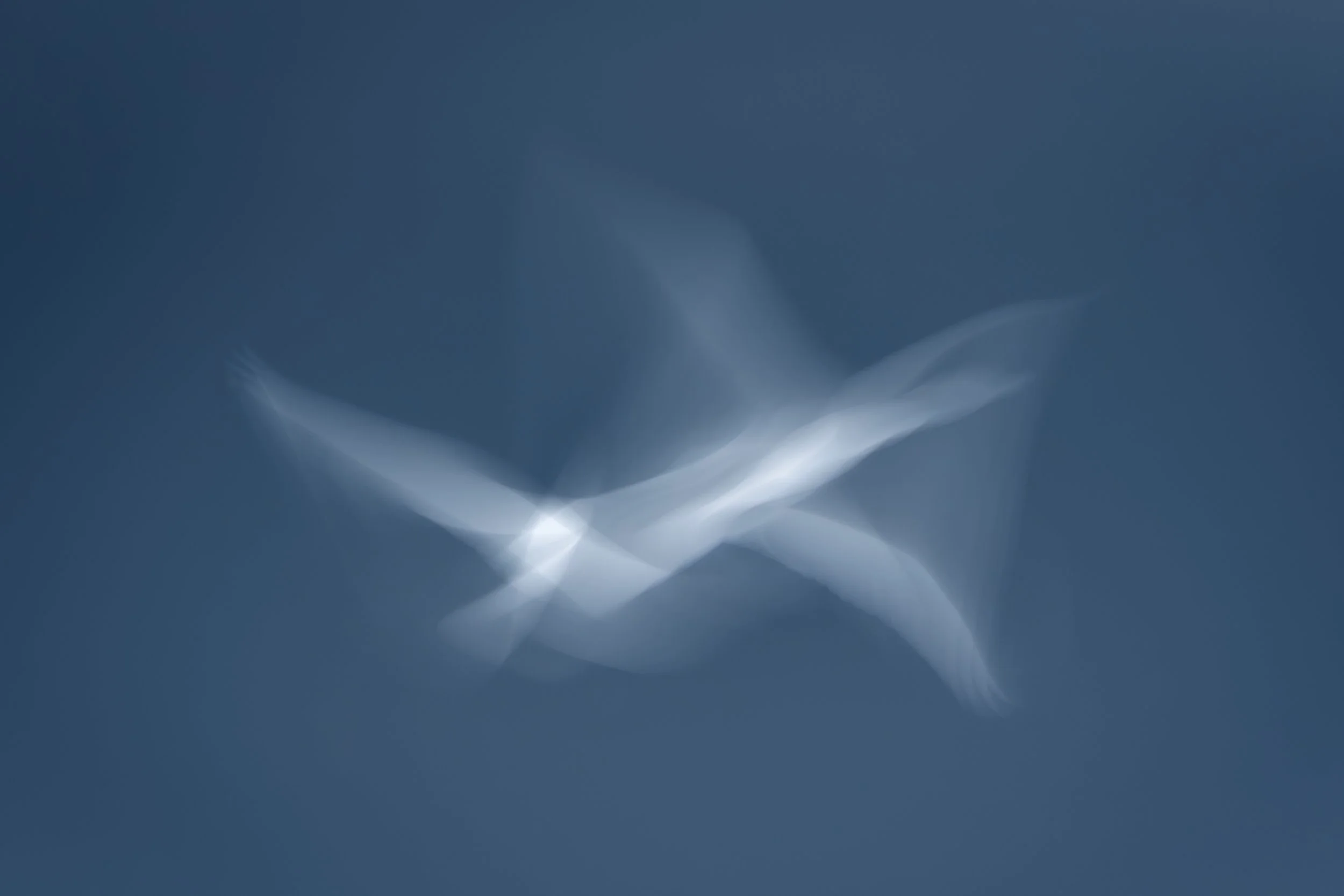 Flight.jpg