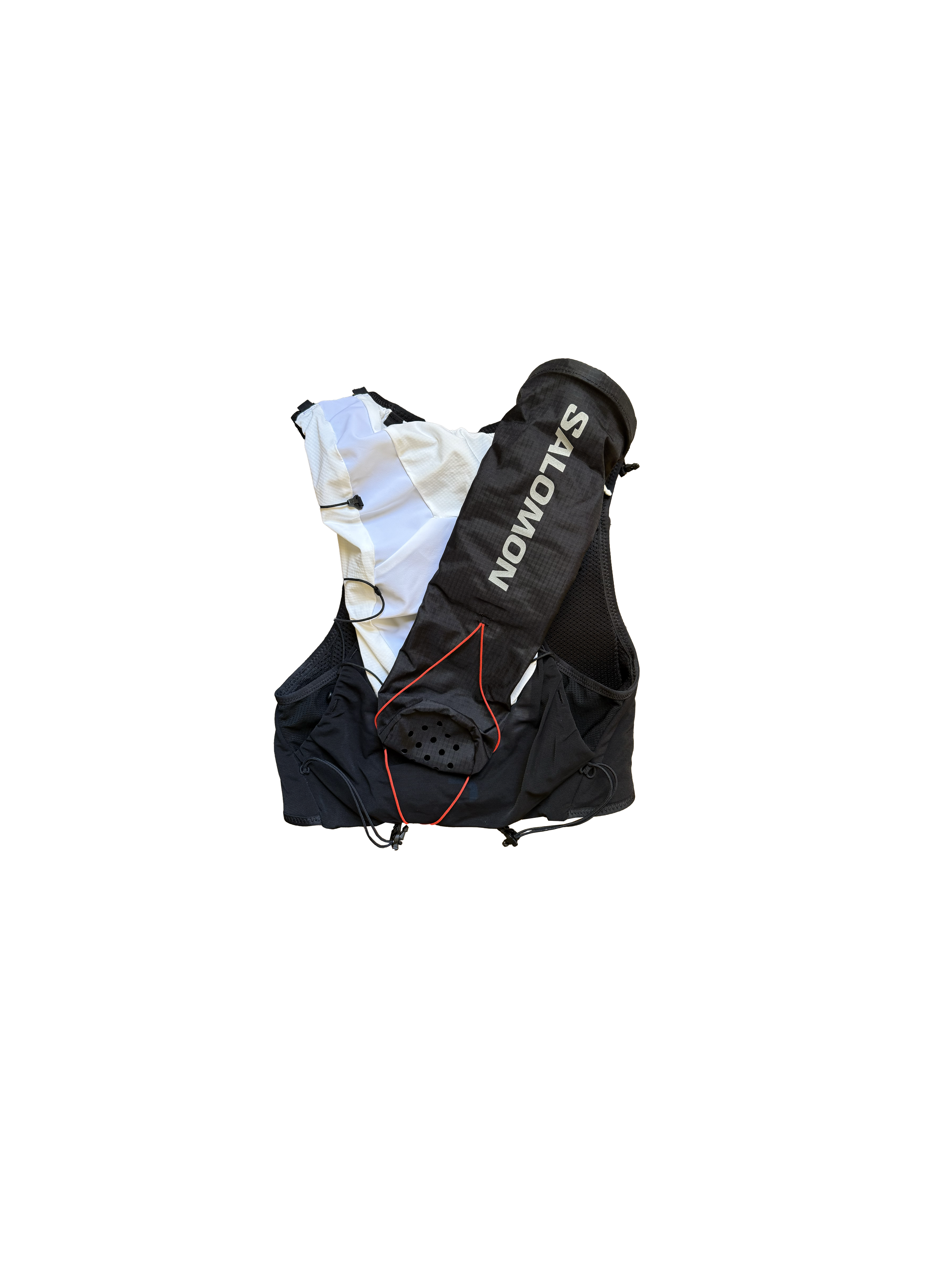 salomon quiver on bag.png