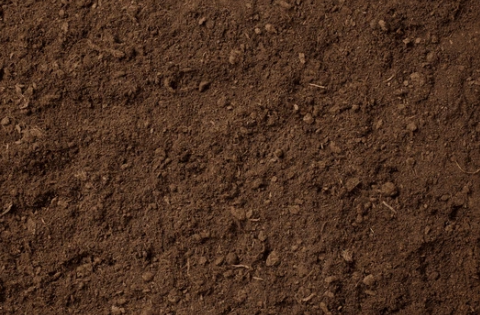 Top Soil.png