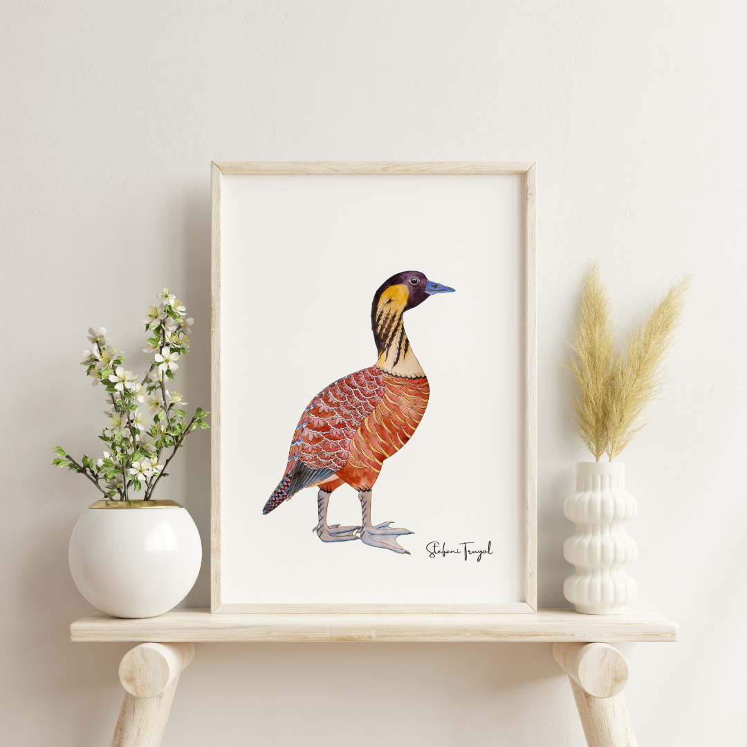 The Nēnē, Hawaiian Goose - Fine Art Print