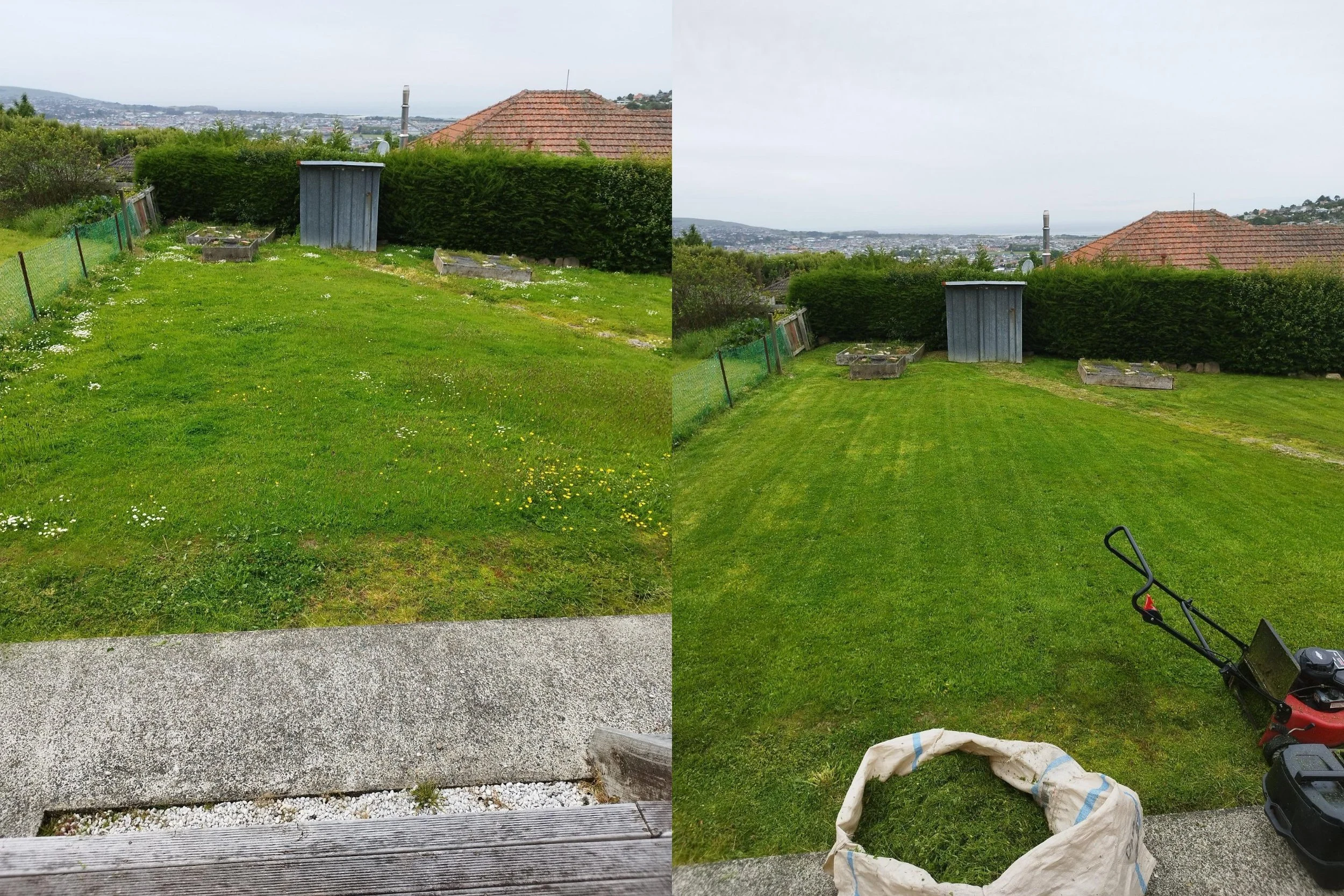 Comparison of a backyard before and after lawn care: the left side shows overgrown grass with weeds, while the right side displays freshly mowed, well-maintained grass with gardening tools and a grass bag in the foreground.