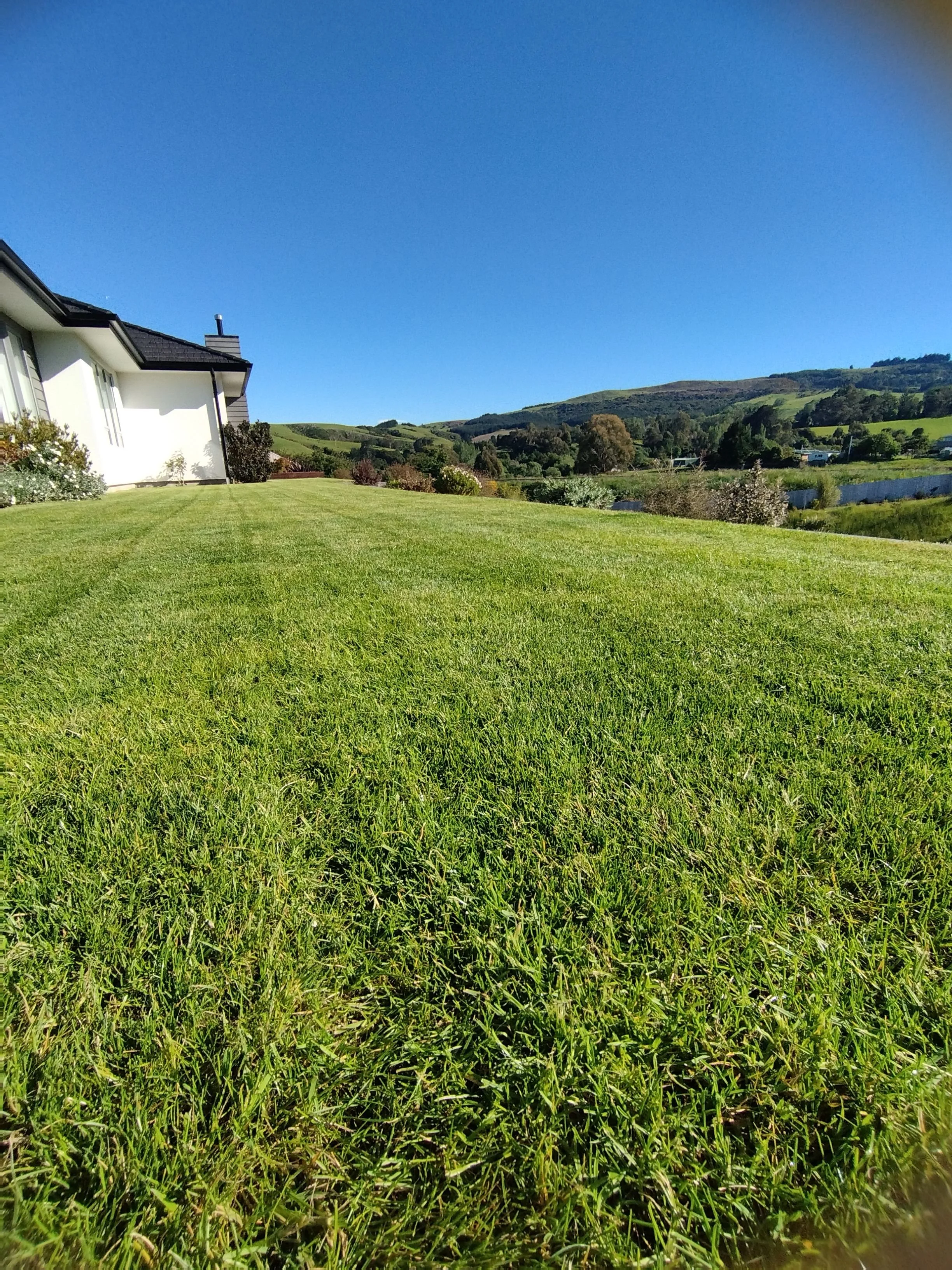 Well-maintained green lawn with a white house on the left, surrounded by trees and hills in the background on a clear, sunny day.