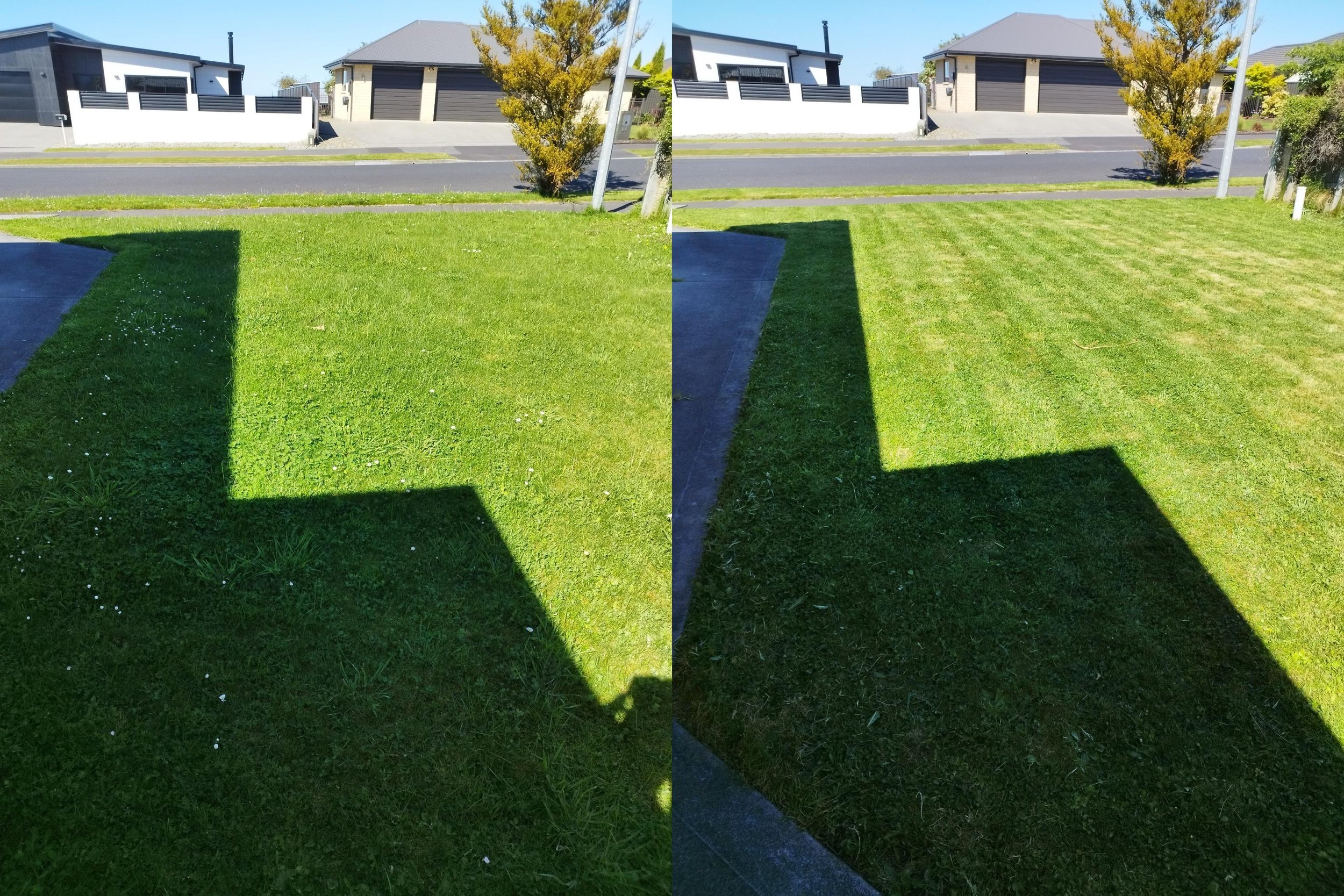 Comparison of two lawns, the left side shows an untrimmed grassy yard with some small white flowers, the right side shows a freshly mowed lawn with evenly cut grass.