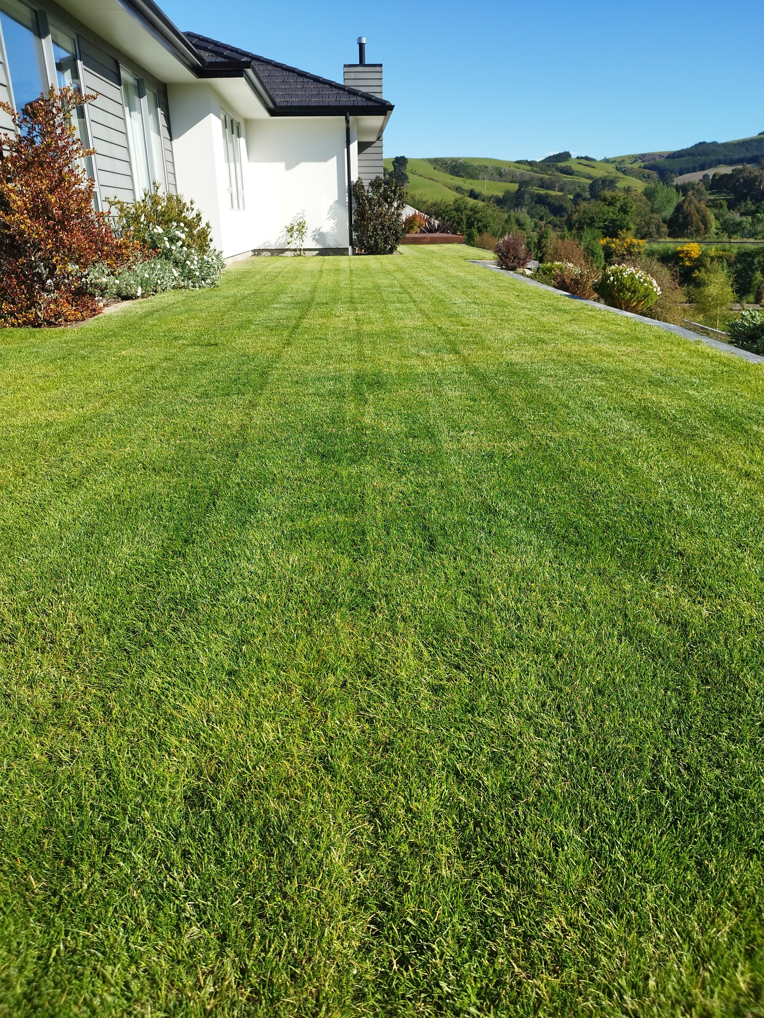 Well-maintained green lawn in front of a modern house with large windows, surrounded by shrubs and trees, with distant rolling hills under a clear blue sky.