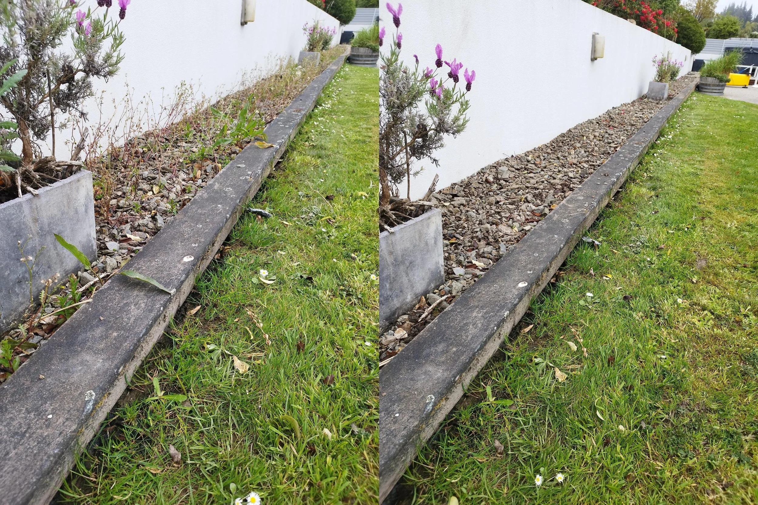 The image shows a garden strip with a concrete border, partially covered with gravel and some plants. The right side of the image has been edited to remove the plants and gravel, revealing a clean, weed-free strip with a concrete border and a well-ma