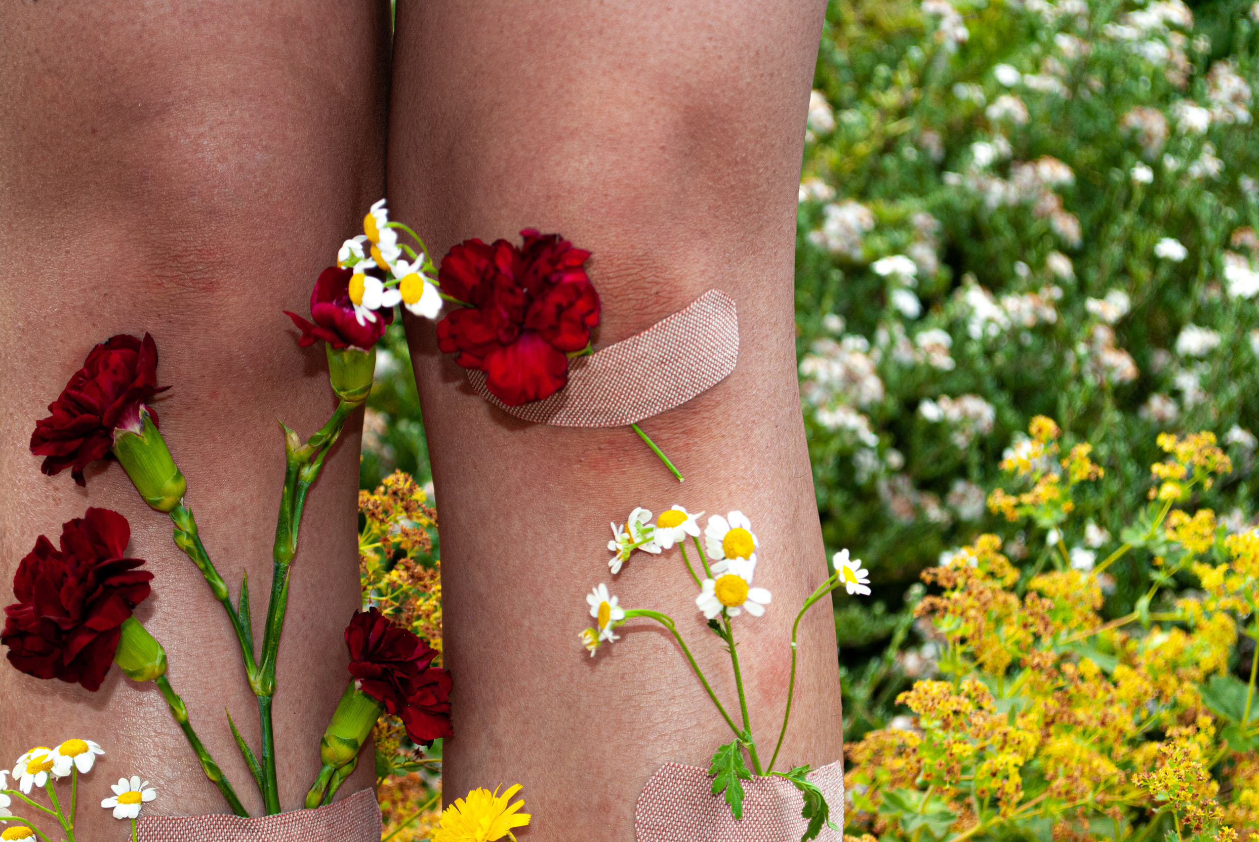 Photography Collection