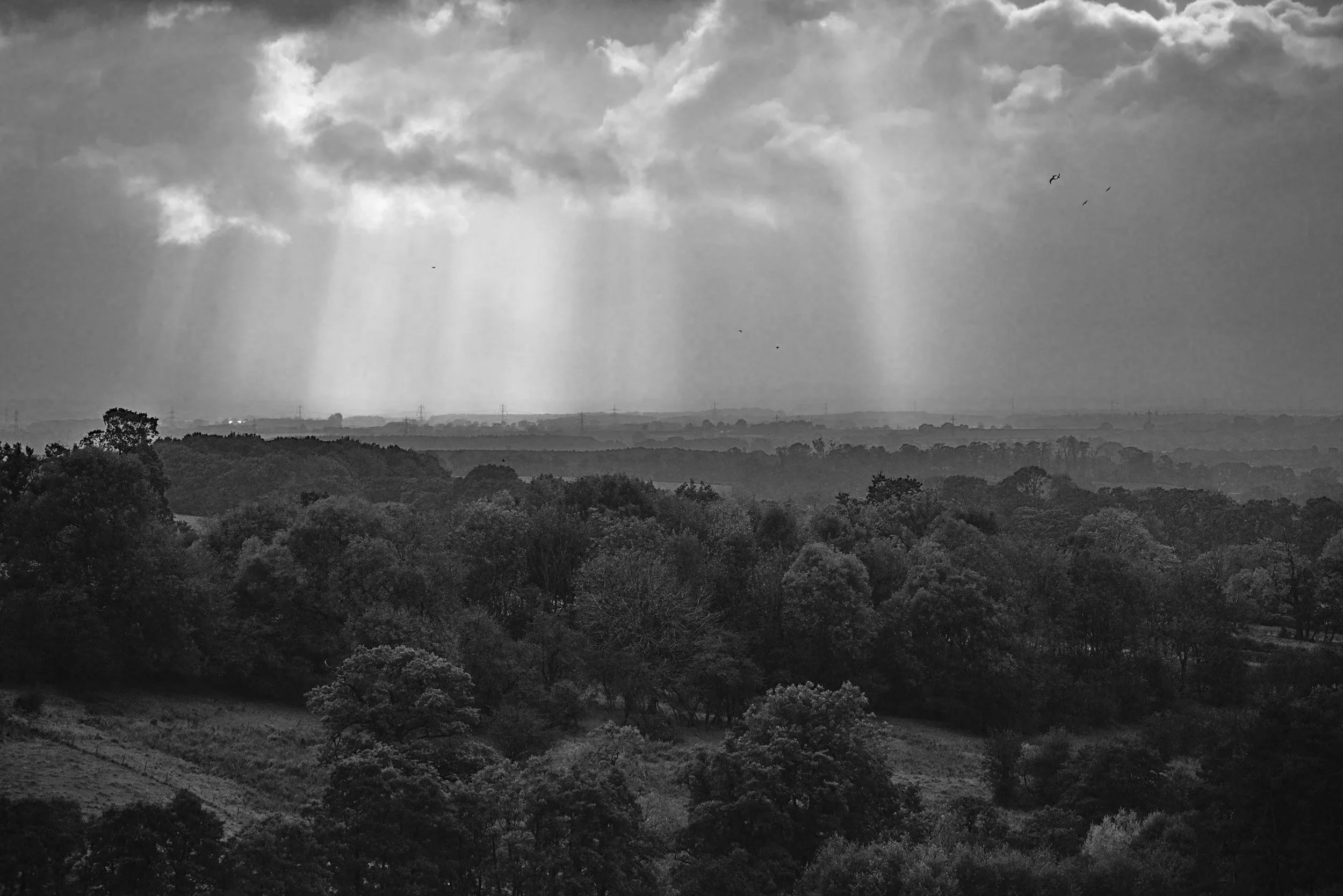 Black and white photo of a landscape with trees in the foreground and a cloudy sky with sun rays shining through in the background.