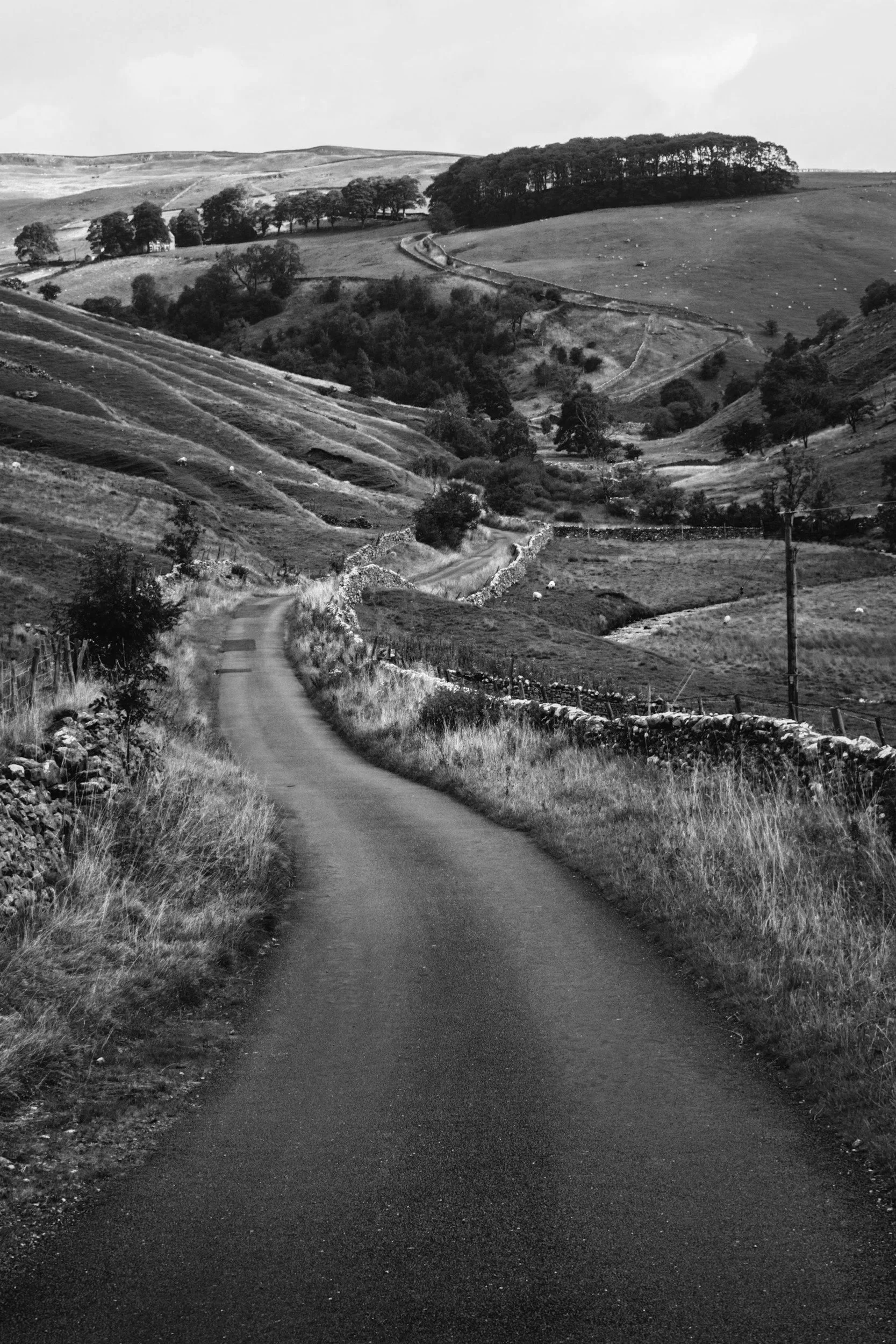 Black and white photograph of a winding rural road leading through rolling hills with scattered trees and stone fences.